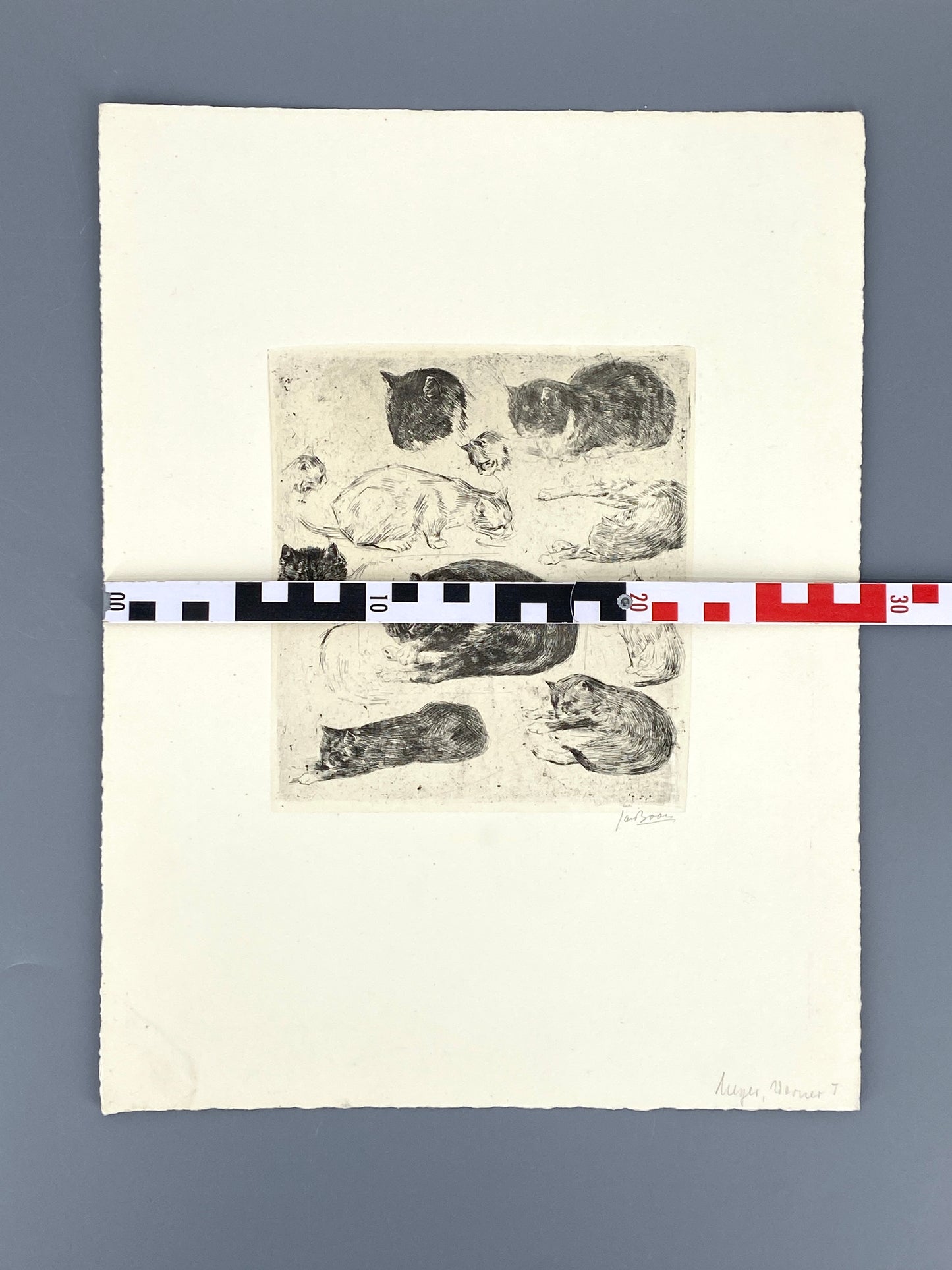 Radierung "Katzen" von Jan Boon (1882–1975), Edition der Griffelkunst-Vereinigung, Hamburg 1965
