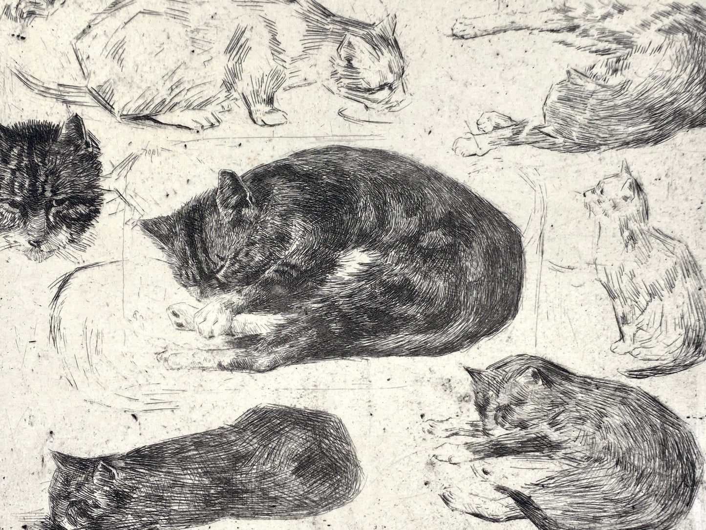 Radierung "Katzen" von Jan Boon (1882–1975), Edition der Griffelkunst-Vereinigung, Hamburg 1965