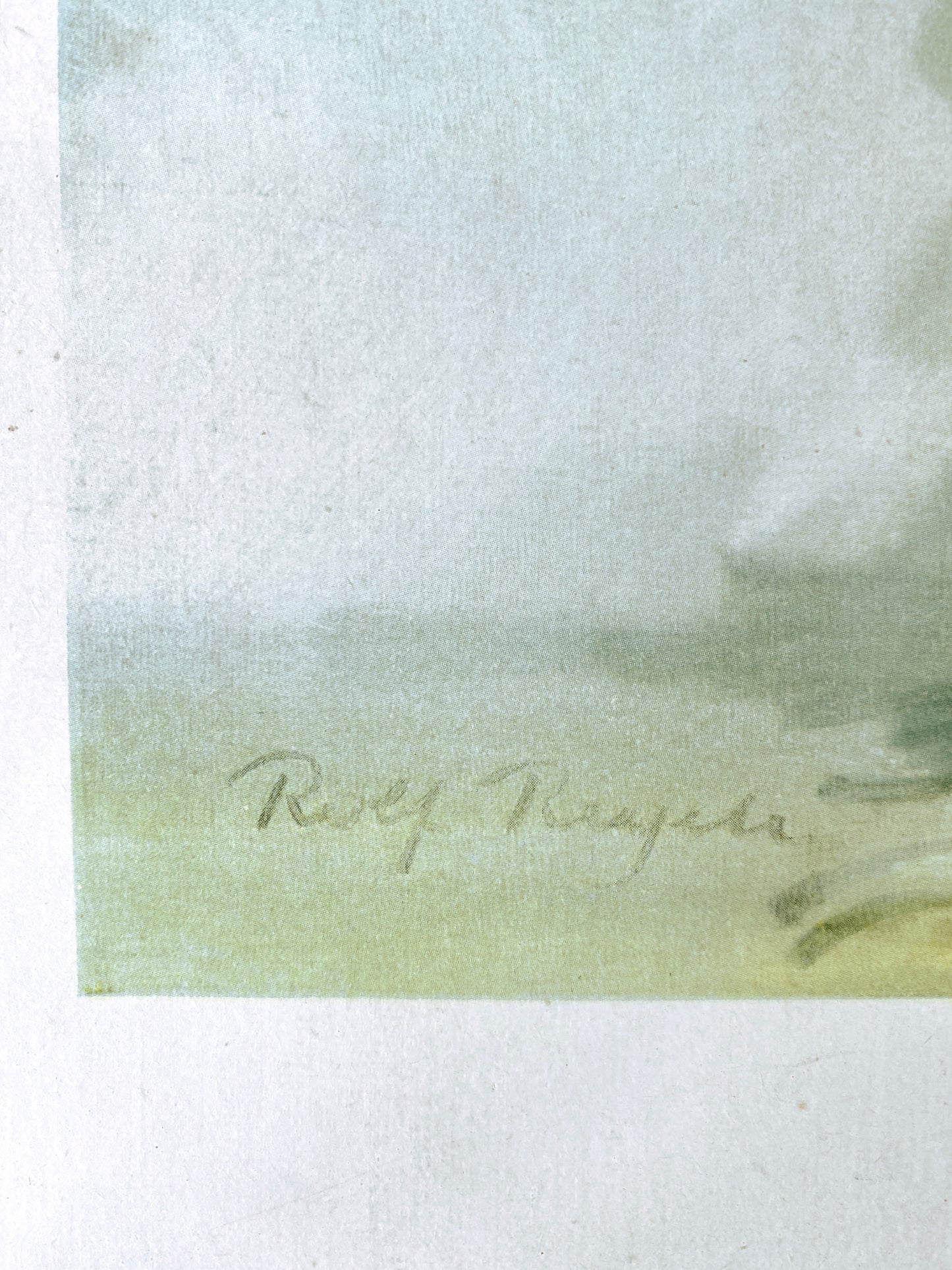 Rolf Regele - Sonnenblumen. Offset-Druck