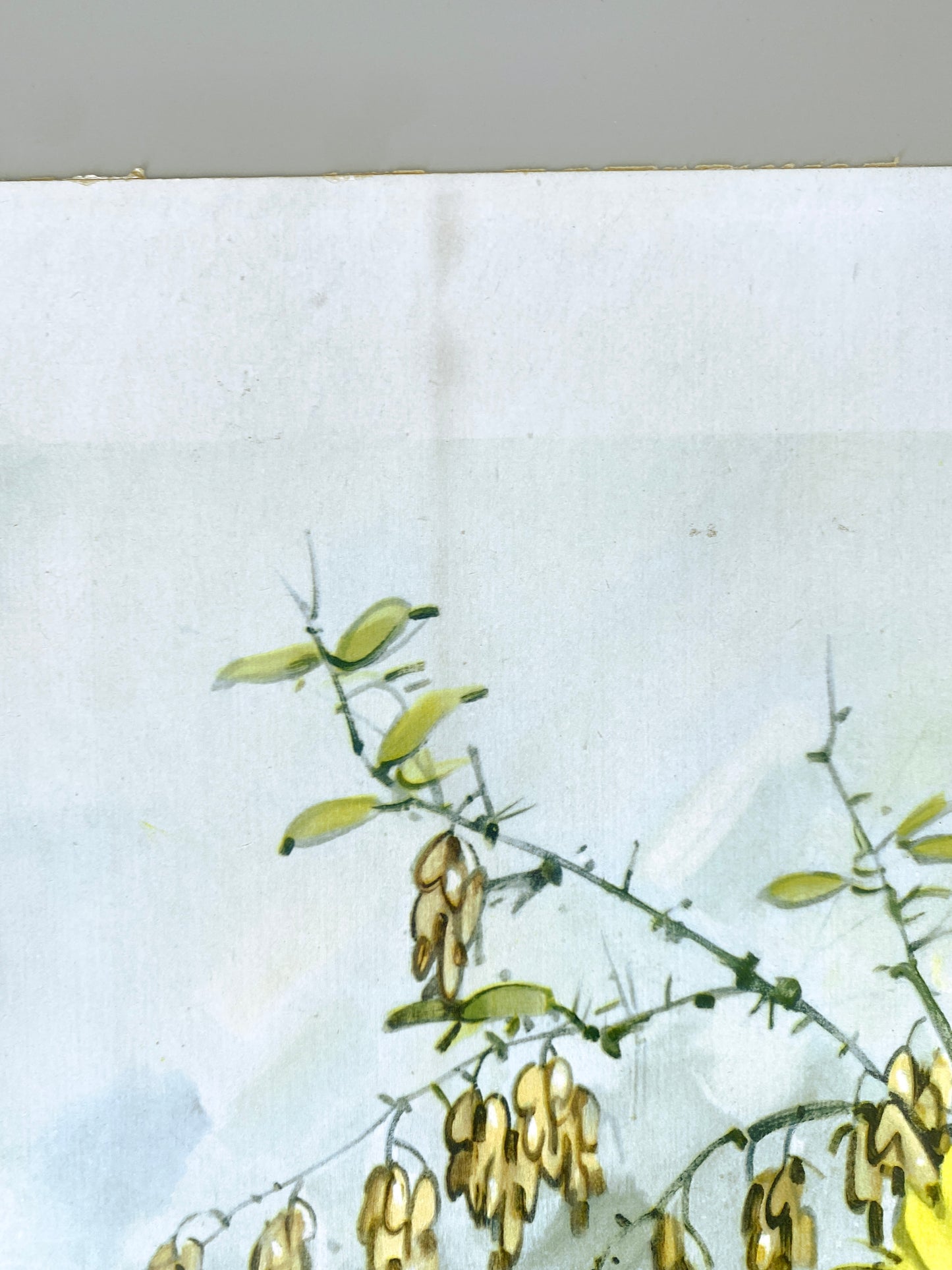 Rolf Regele - Sonnenblumen. Offset-Druck