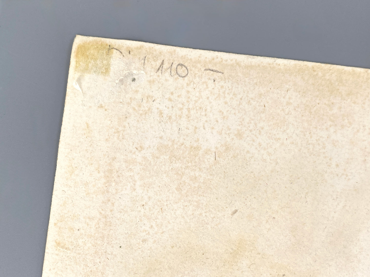 Mezzotinto Blatt von Johann Wilhelm Weinmann aus der "Phytanthoza Iconographia", 1735/45