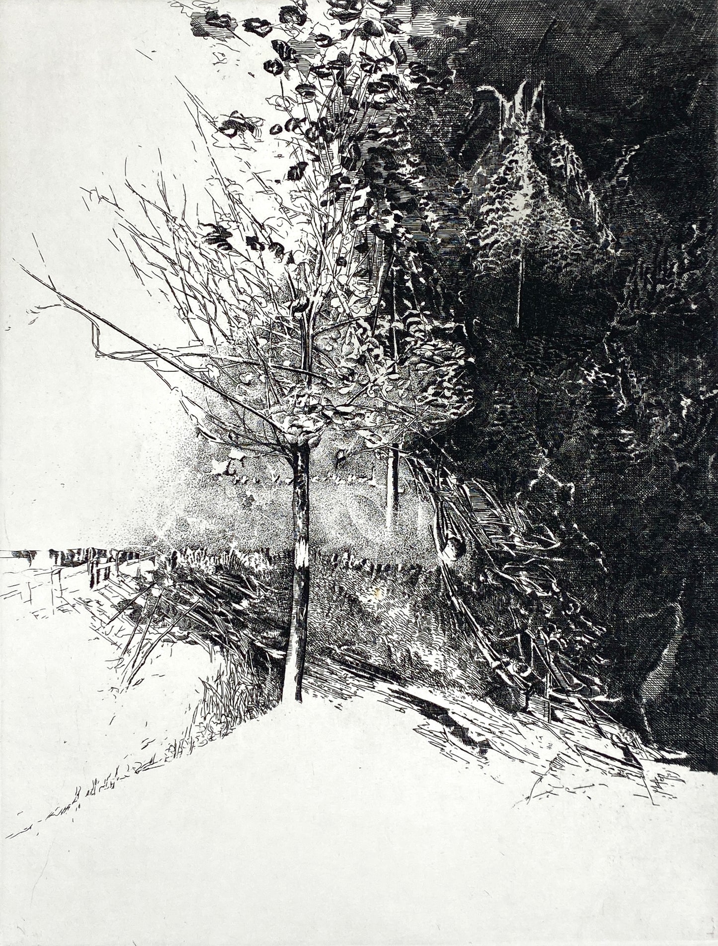 Radierung "Frühling" von Udo Scheel (geb. 1940), Edition der Griffelkunst-Vereinigung, Hamburg 1972