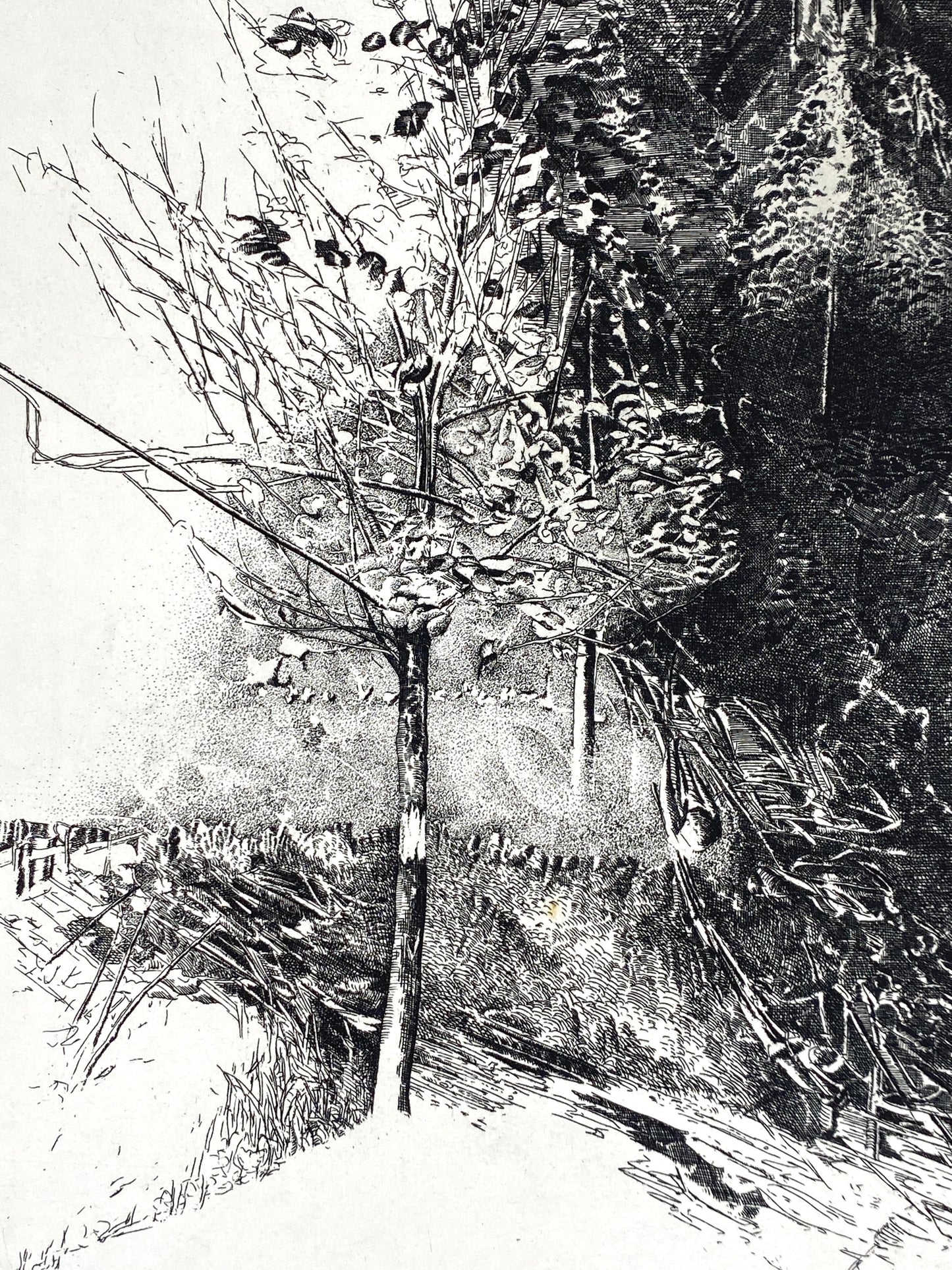 Radierung "Frühling" von Udo Scheel (geb. 1940), Edition der Griffelkunst-Vereinigung, Hamburg 1972