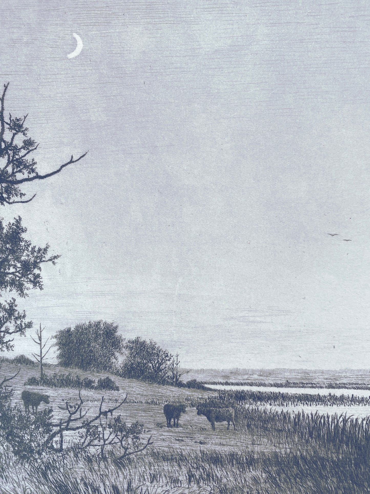 Auenlandschaft - Grafik, Adolph Larsen