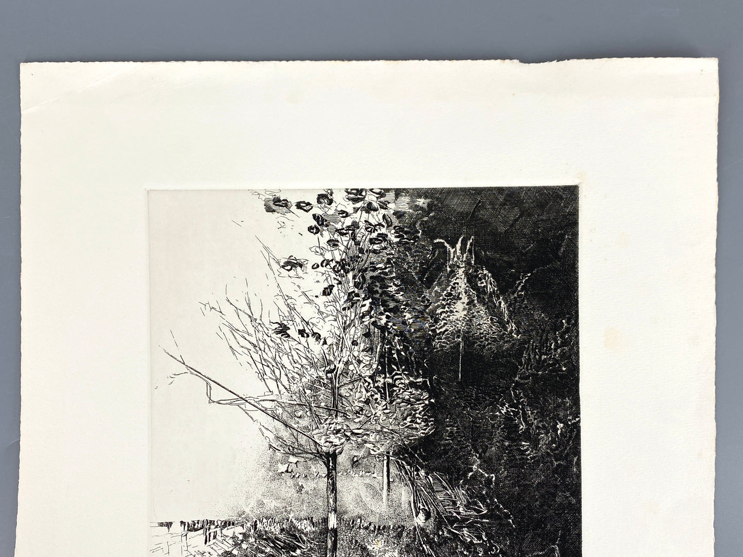 Radierung "Frühling" von Udo Scheel (geb. 1940), Edition der Griffelkunst-Vereinigung, Hamburg 1972