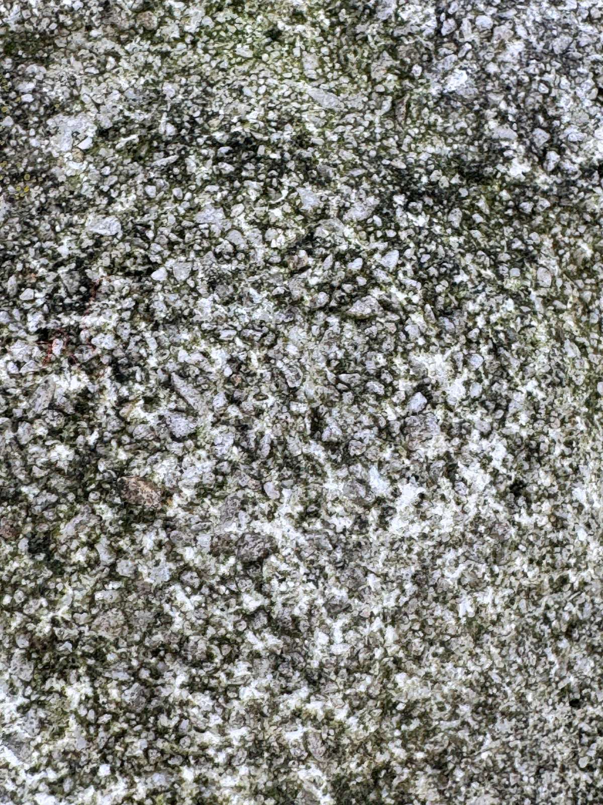 STEINBÜSTE LUDWIG VAN BEETHOVEN GARTENDEKORATION STATUE BRUSTBILD