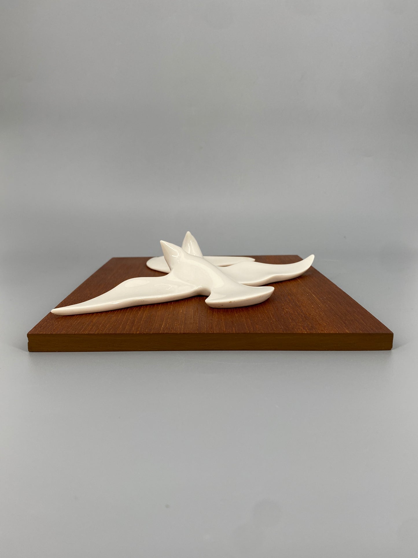 Wandrelief von Peter Müller für Sgrafo Modern aus weißem Porzellan auf Teakplatte, 60er
