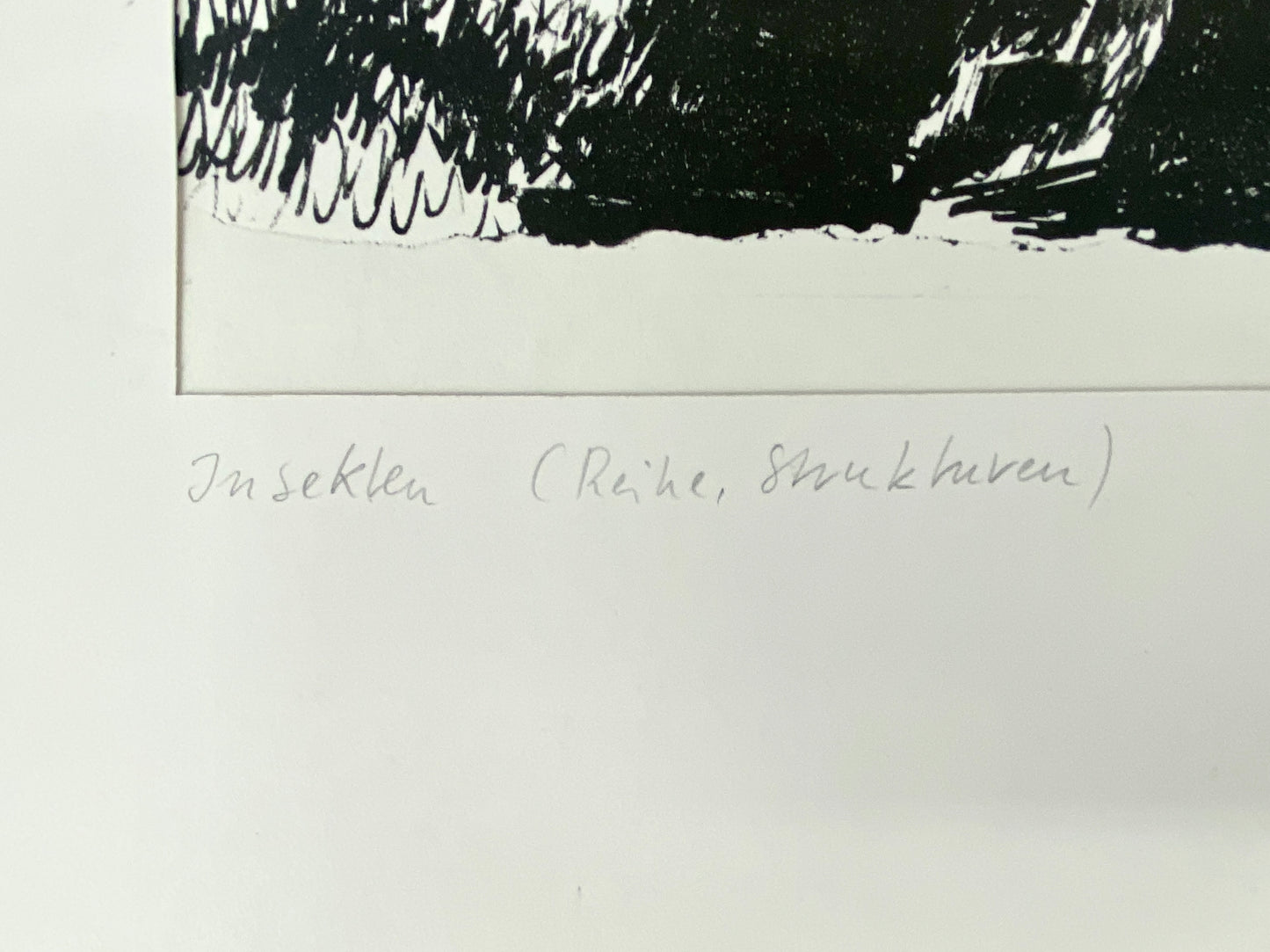 Insekten, Strukturen. Litographie S/W, sign. Schmitz