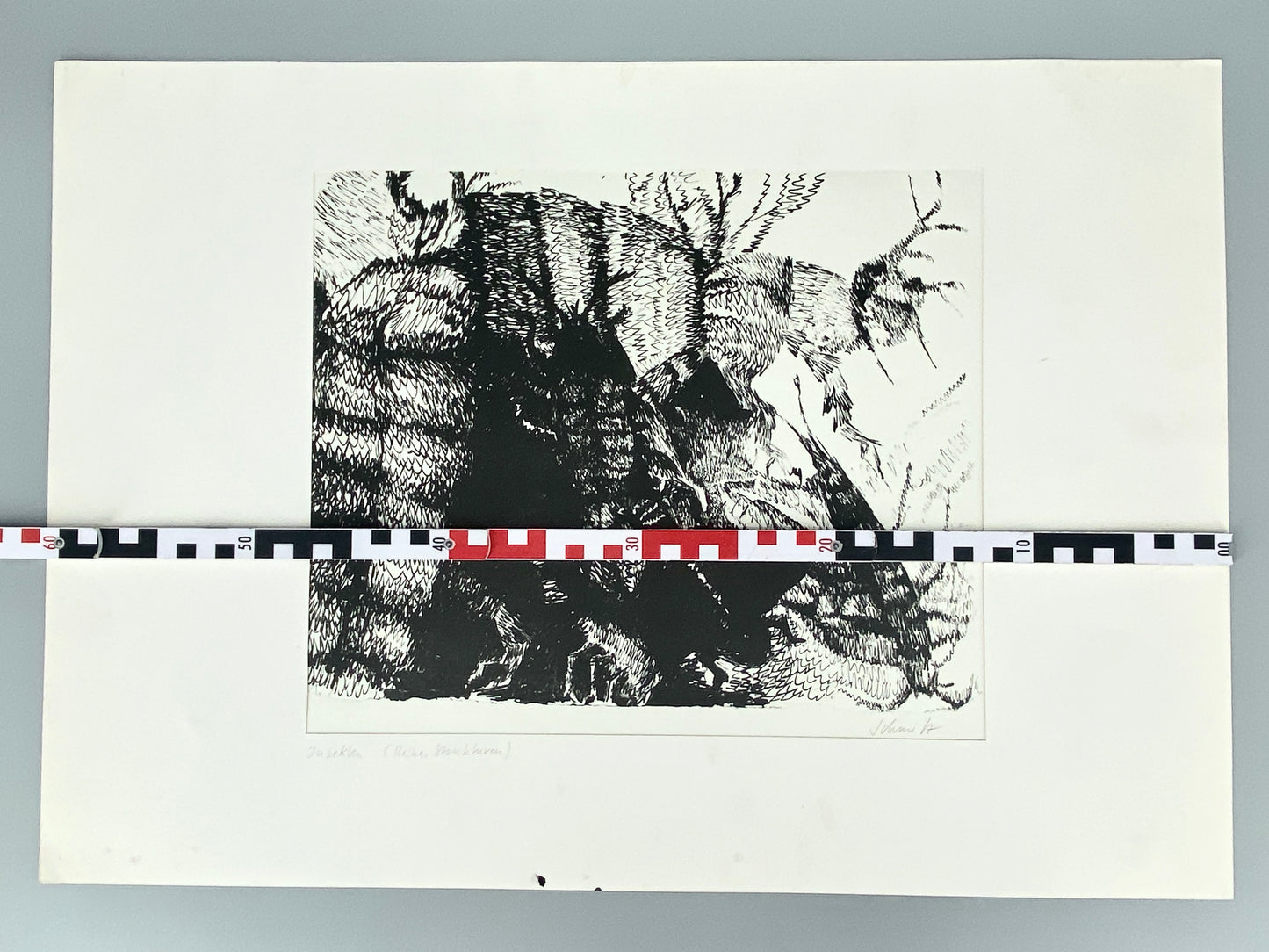 Insekten, Strukturen. Litographie S/W, sign. Schmitz