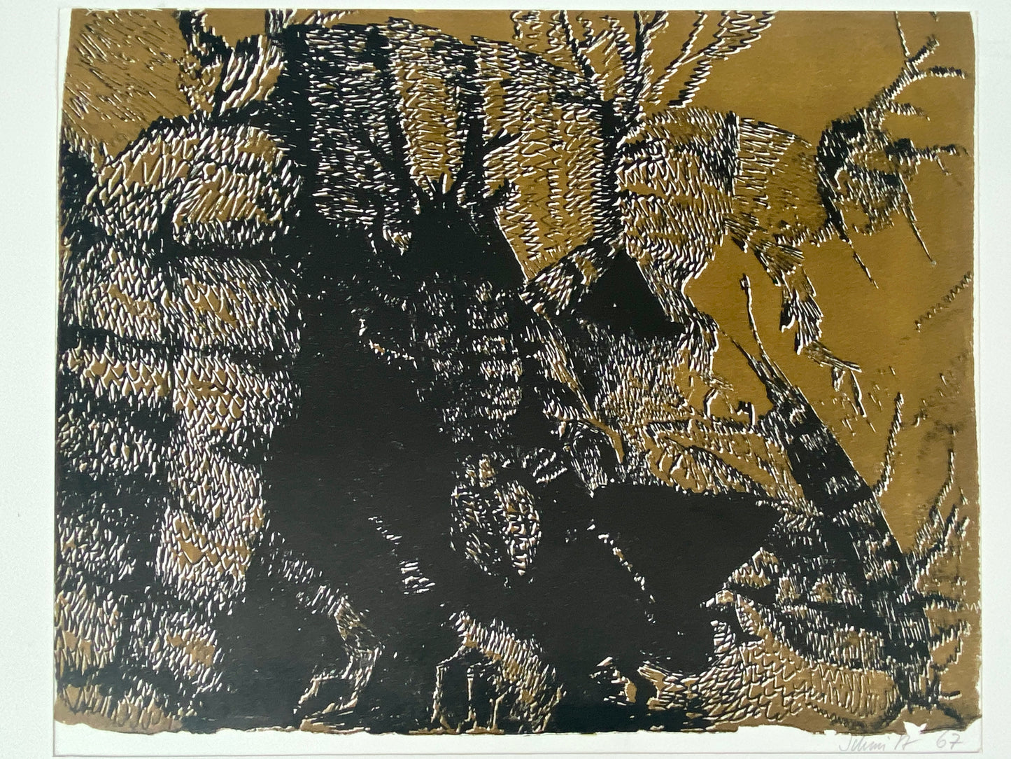Insekten, Strukturen. Litographie kol., sign. Schmitz