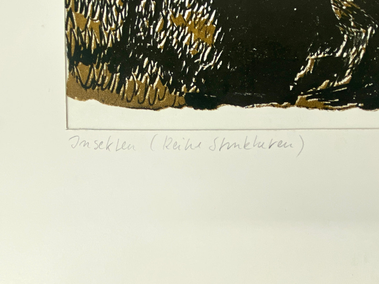 Insekten, Strukturen. Litographie kol., sign. Schmitz
