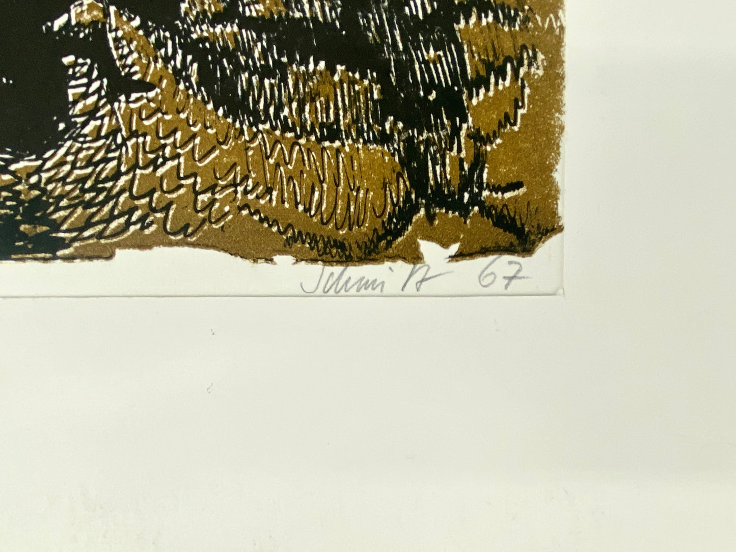 Insekten, Strukturen. Litographie kol., sign. Schmitz