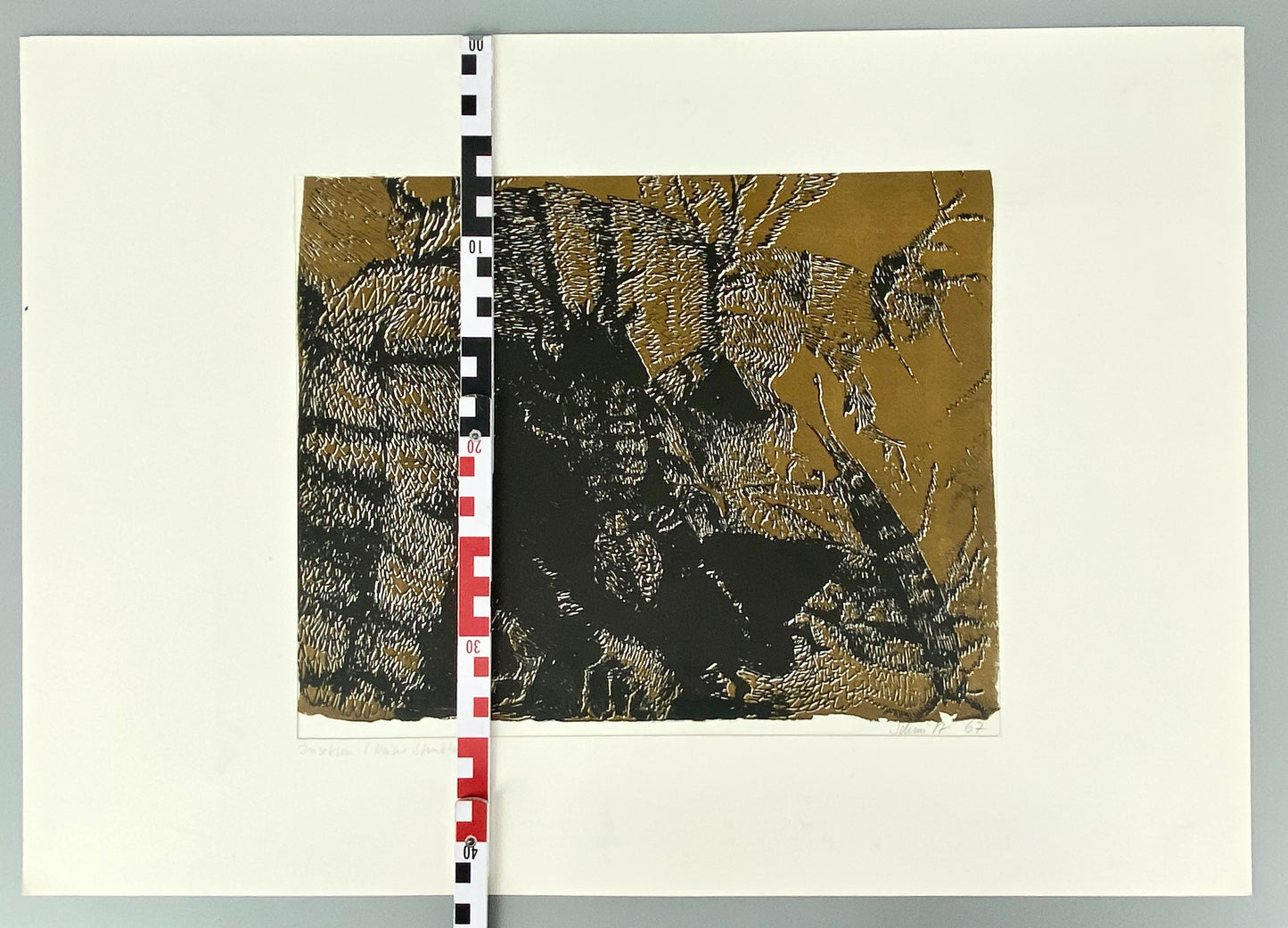 Insekten, Strukturen. Litographie kol., sign. Schmitz