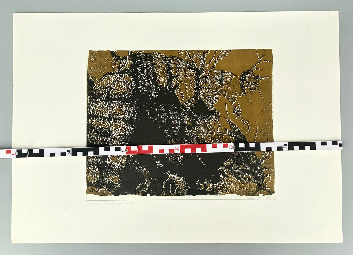 Insekten, Strukturen. Litographie kol., sign. Schmitz