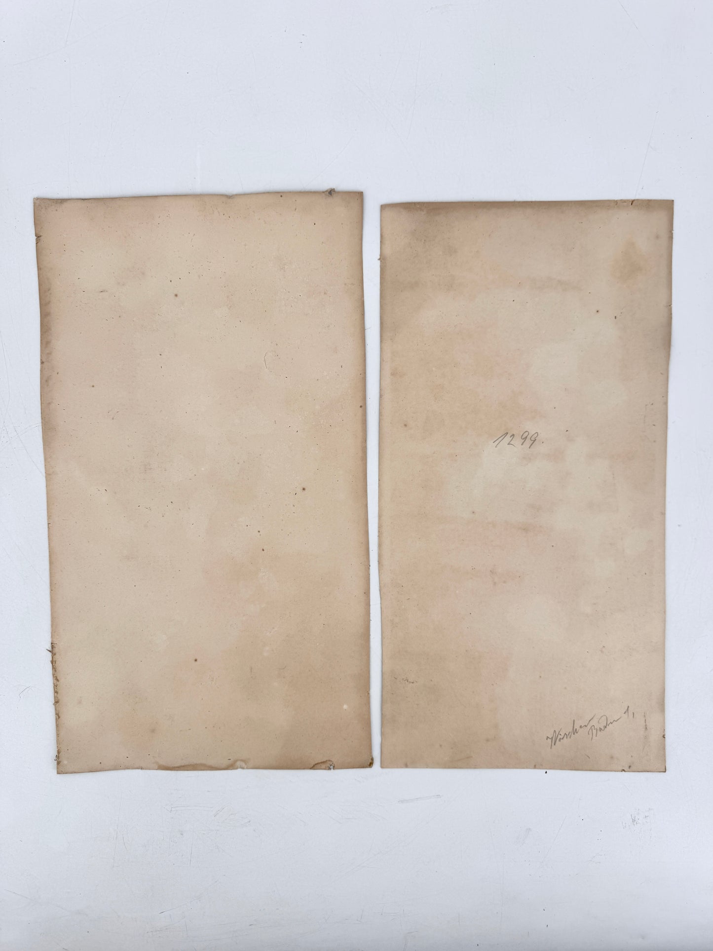 2x Kunstdruck, Chinesisch. Hahn, Henne, Hortensien und Wachteln im Herbstfeld. Jakuchu, Tosa-Schule