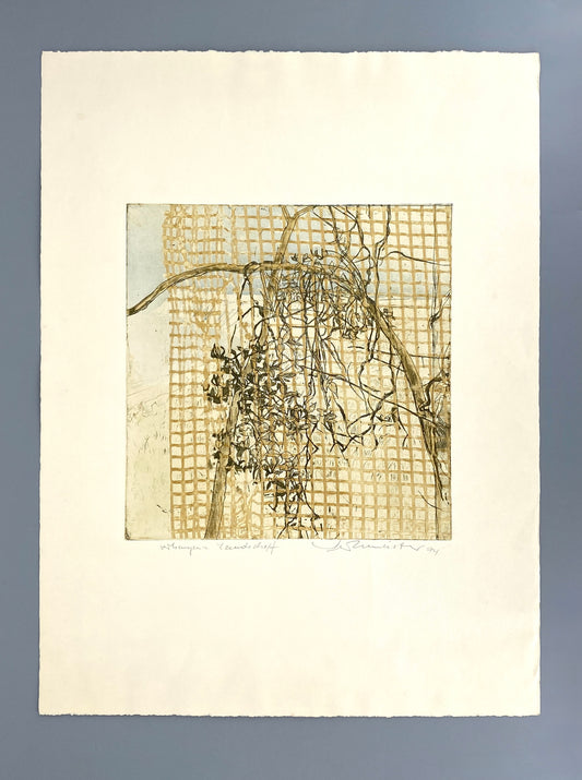 Farbradierung "Verhangene Landschaft" von Wolfgang Werkmeister, Griffelkunst Edition, 1974