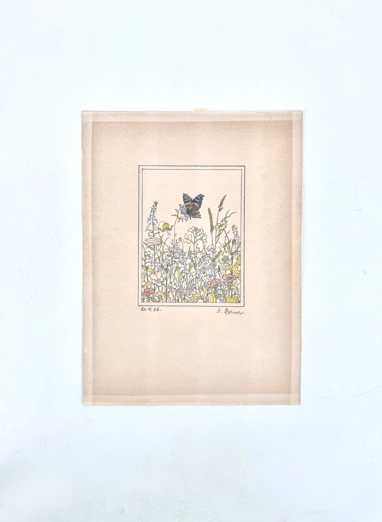 Aquarellierte Zeichnung, Blumenwiese mit Schmetterling. Josef Dorner
