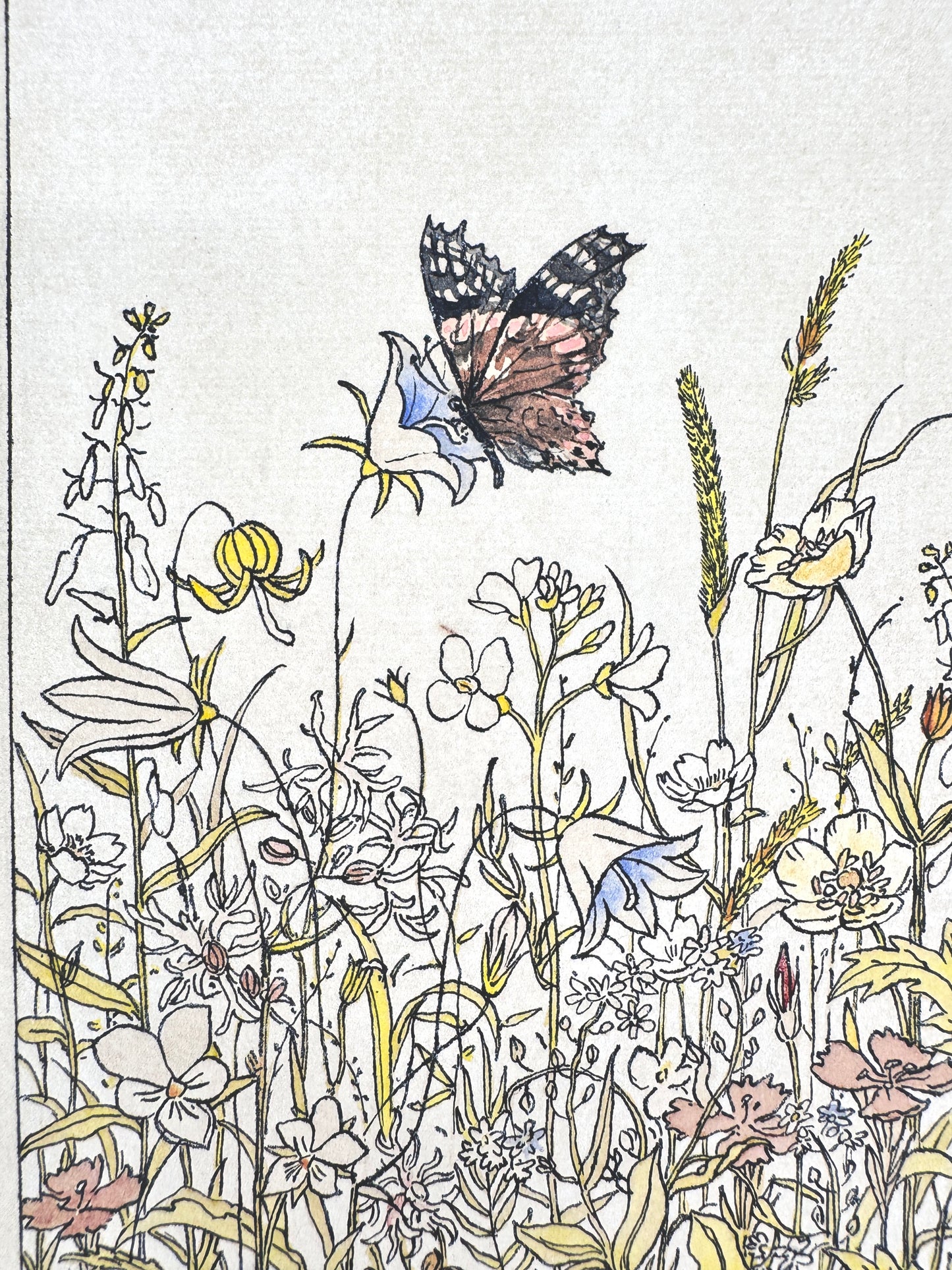 Aquarellierte Zeichnung, Blumenwiese mit Schmetterling. Josef Dorner
