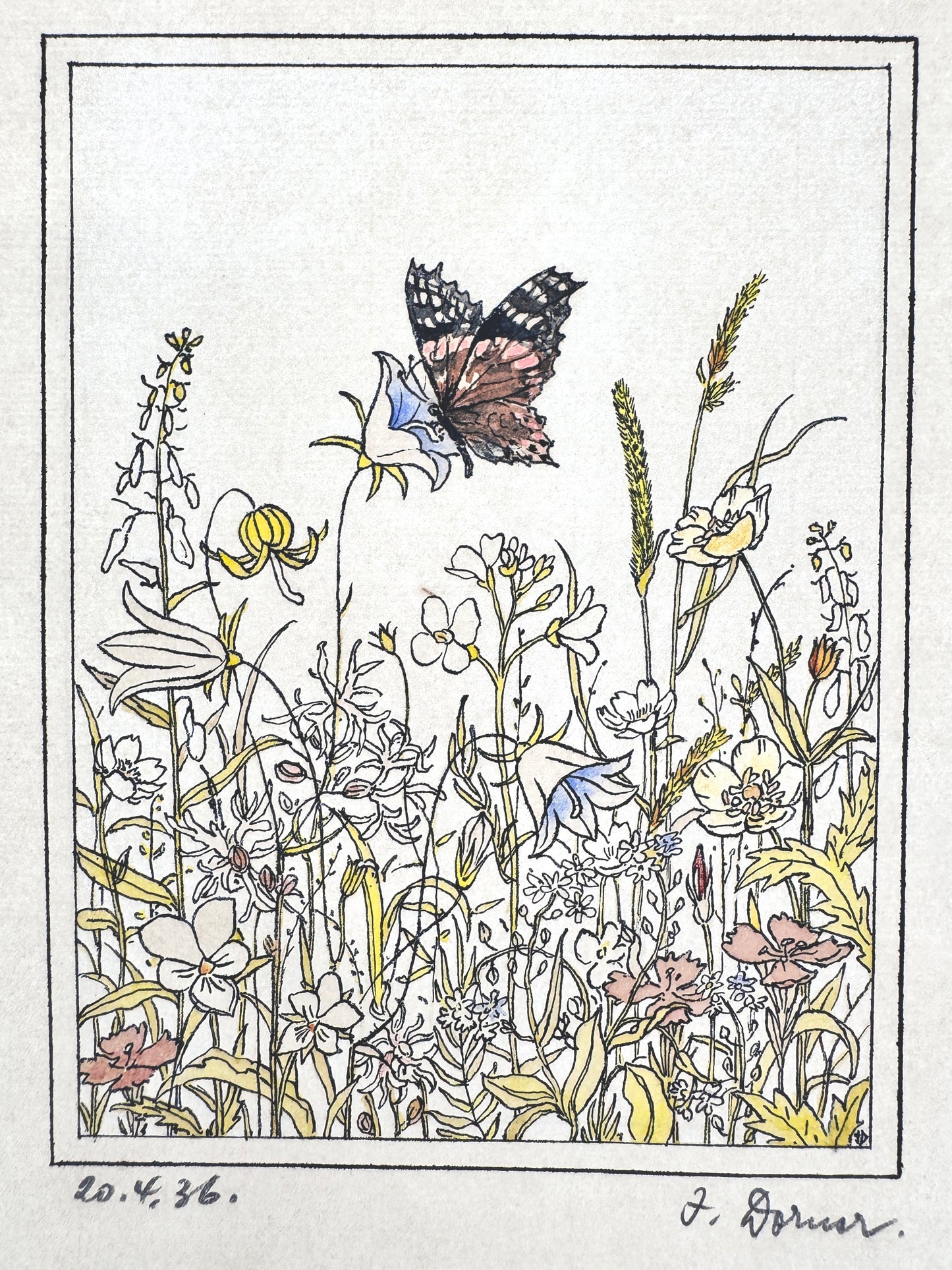 Aquarellierte Zeichnung, Blumenwiese mit Schmetterling. Josef Dorner
