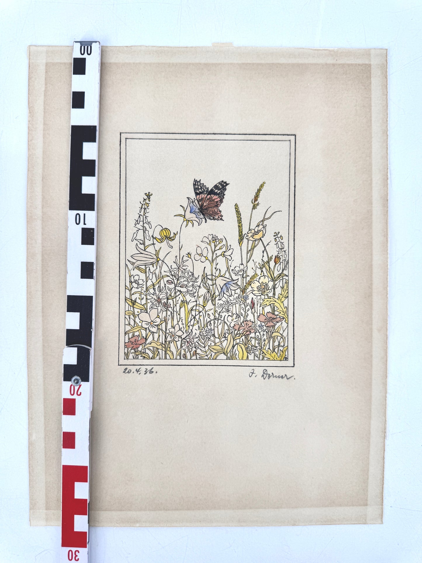 Aquarellierte Zeichnung, Blumenwiese mit Schmetterling. Josef Dorner