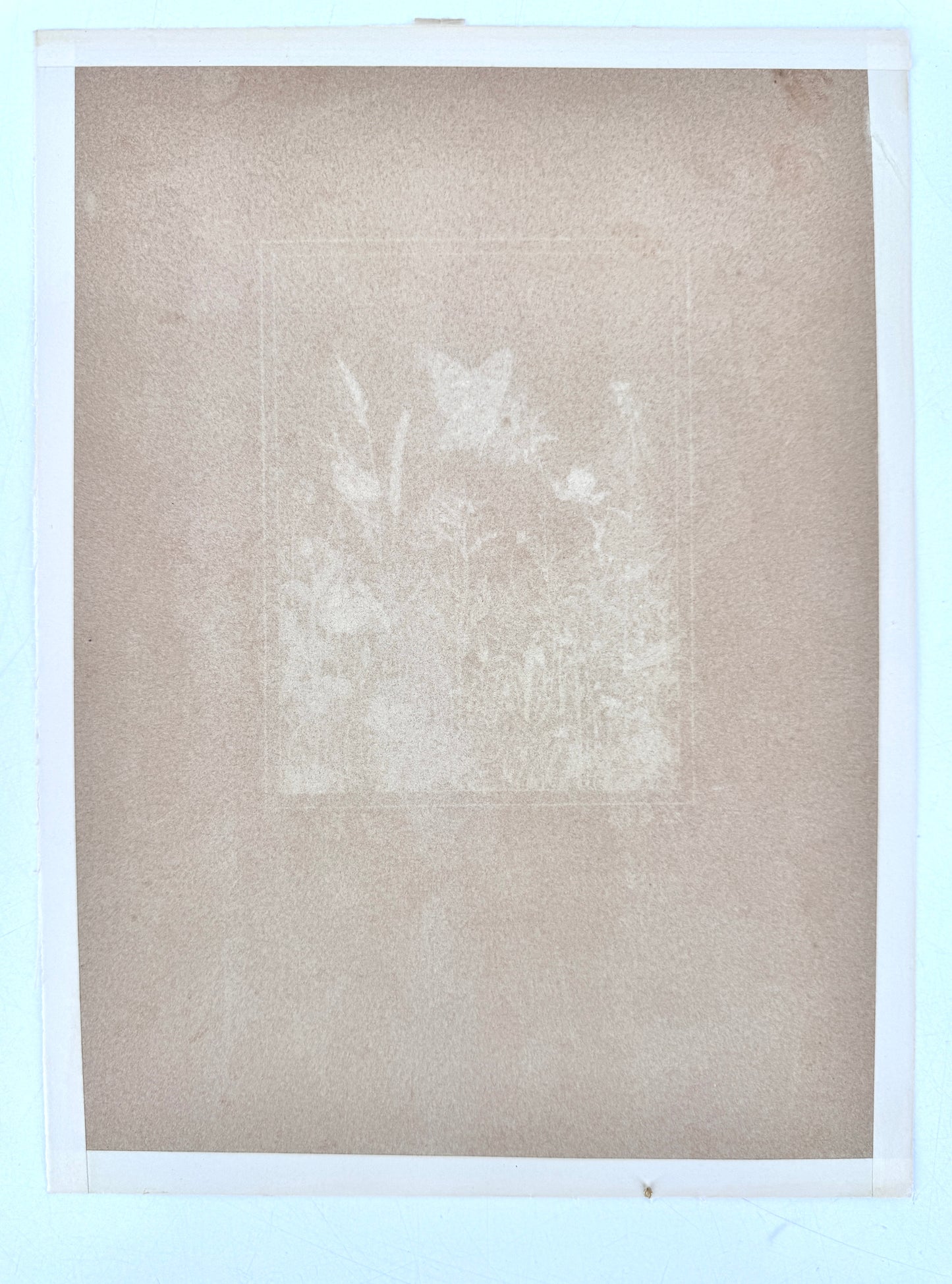 Aquarellierte Zeichnung, Blumenwiese mit Schmetterling. Josef Dorner