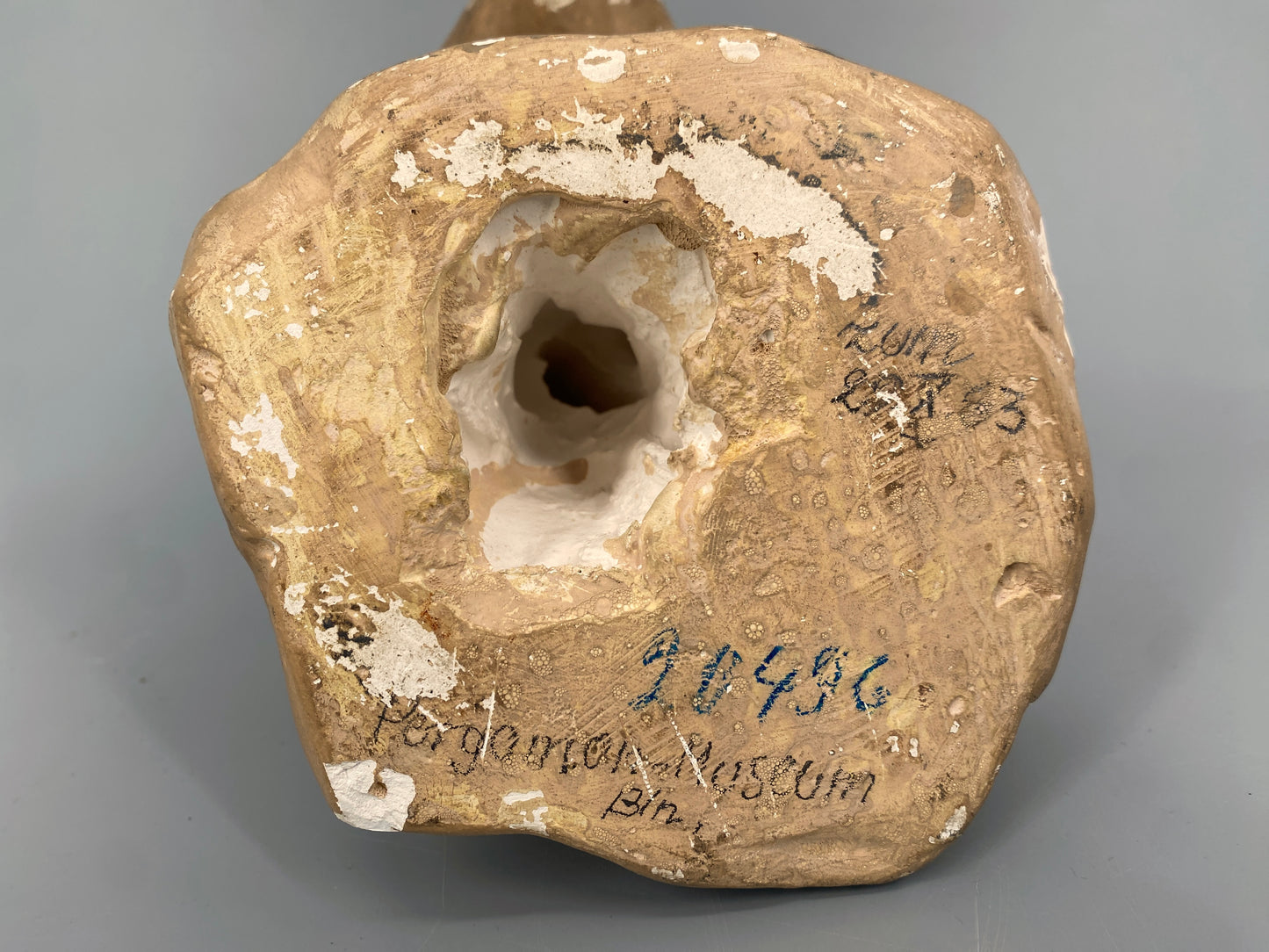 Gipsbüste von Tutanchamun im Amarna Stil, aus der Sammlung des Ägyptischen Museums Berlin