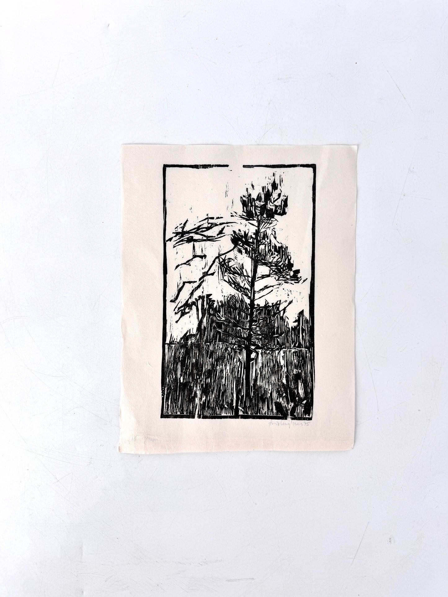 Original-Holzschnitt, Kiefer im Wald. Expressionistisch