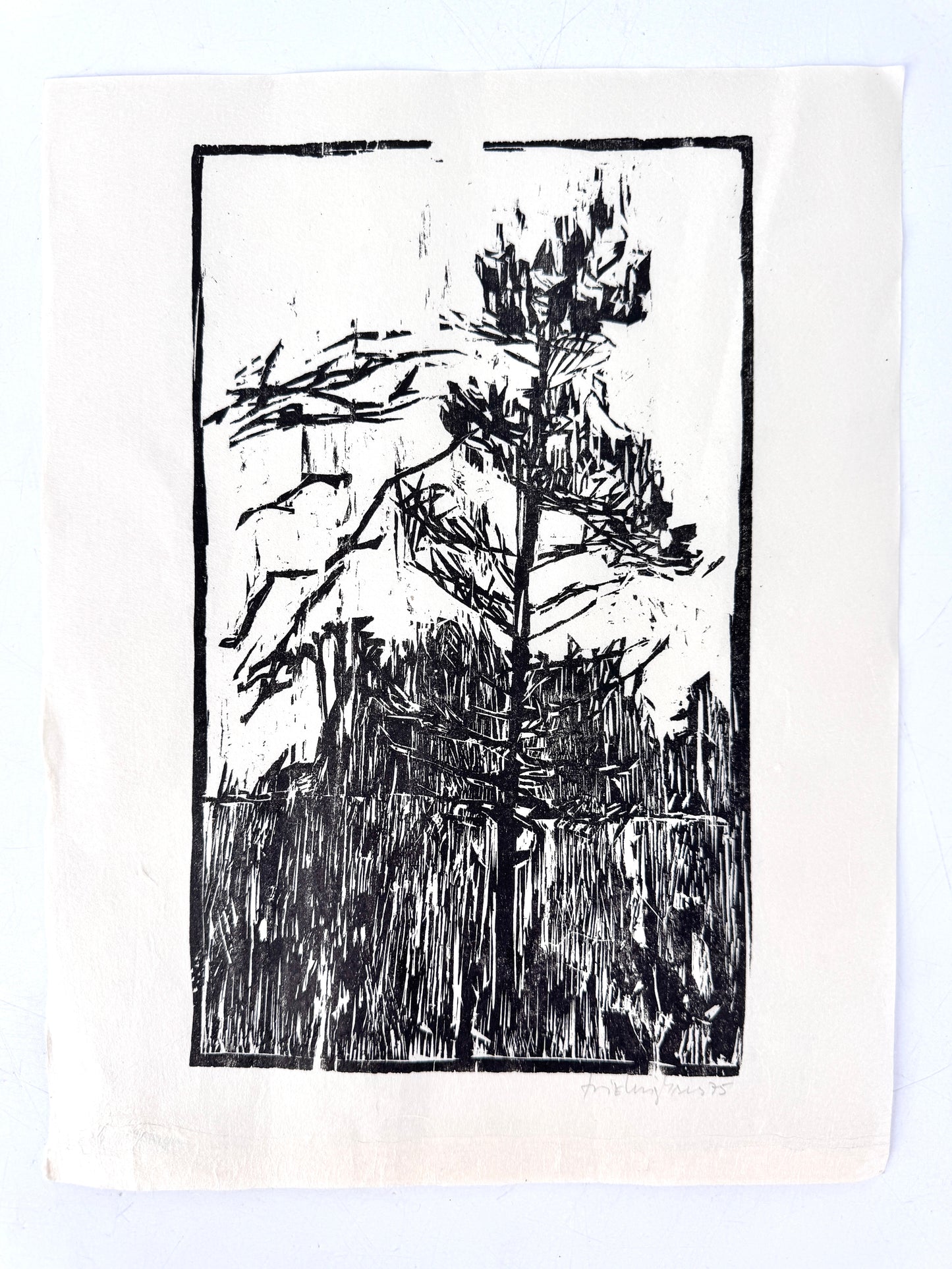 Original-Holzschnitt, Kiefer im Wald. Expressionistisch