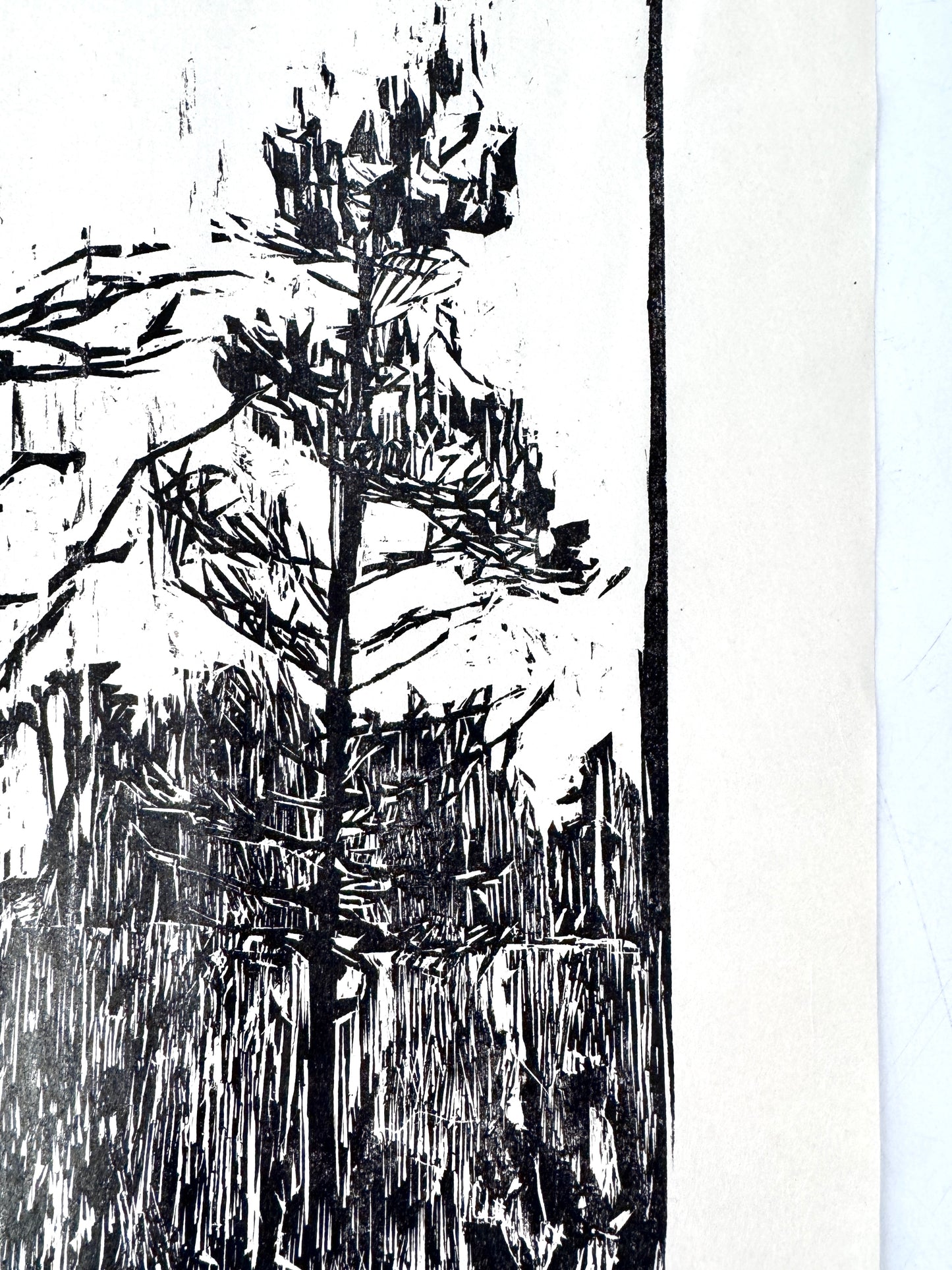 Original-Holzschnitt, Kiefer im Wald. Expressionistisch