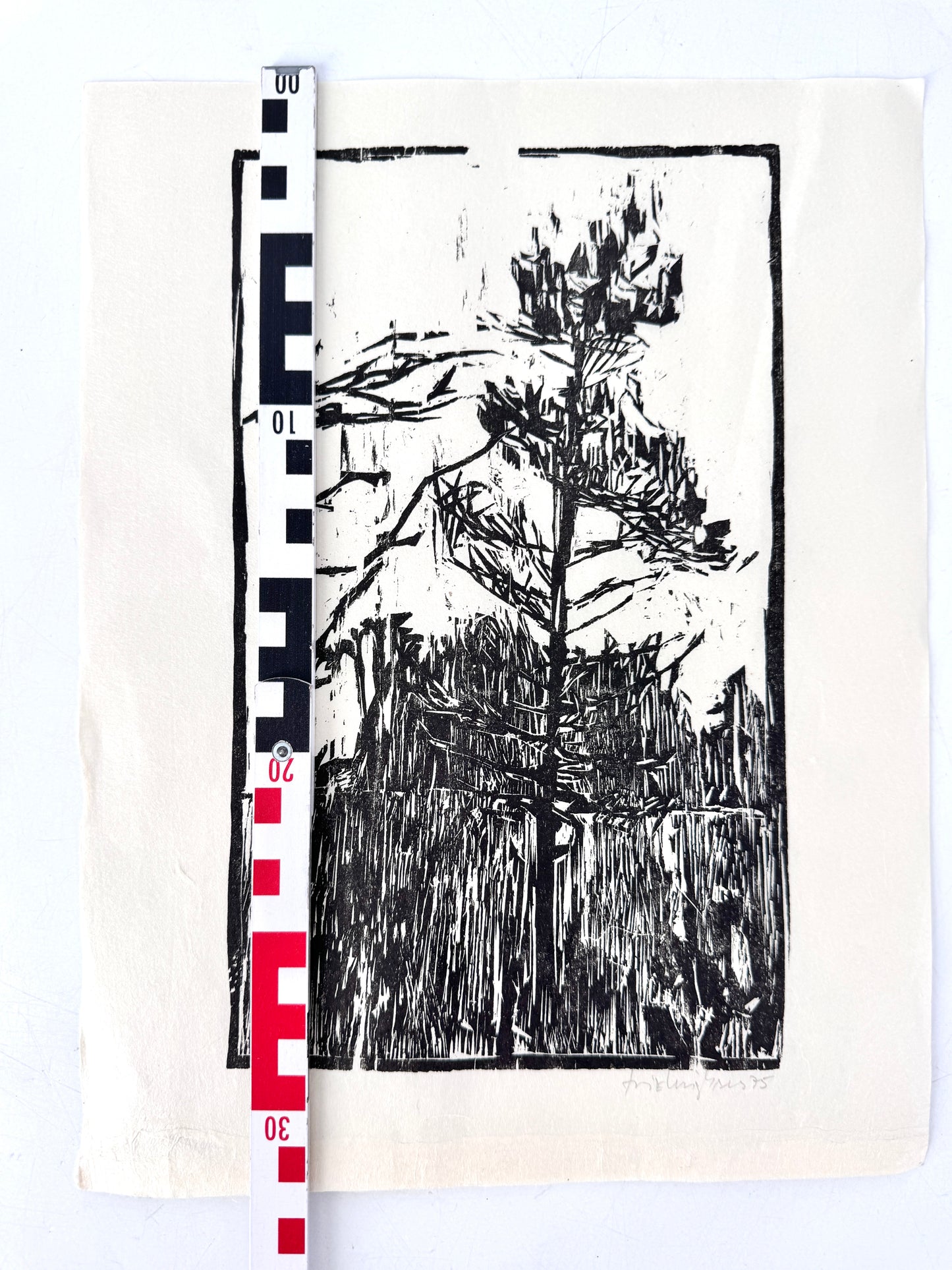 Original-Holzschnitt, Kiefer im Wald. Expressionistisch