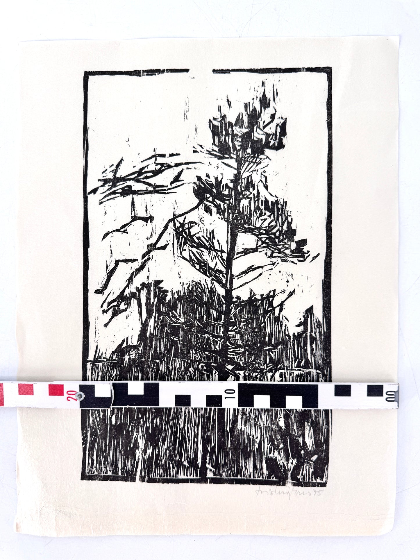 Original-Holzschnitt, Kiefer im Wald. Expressionistisch