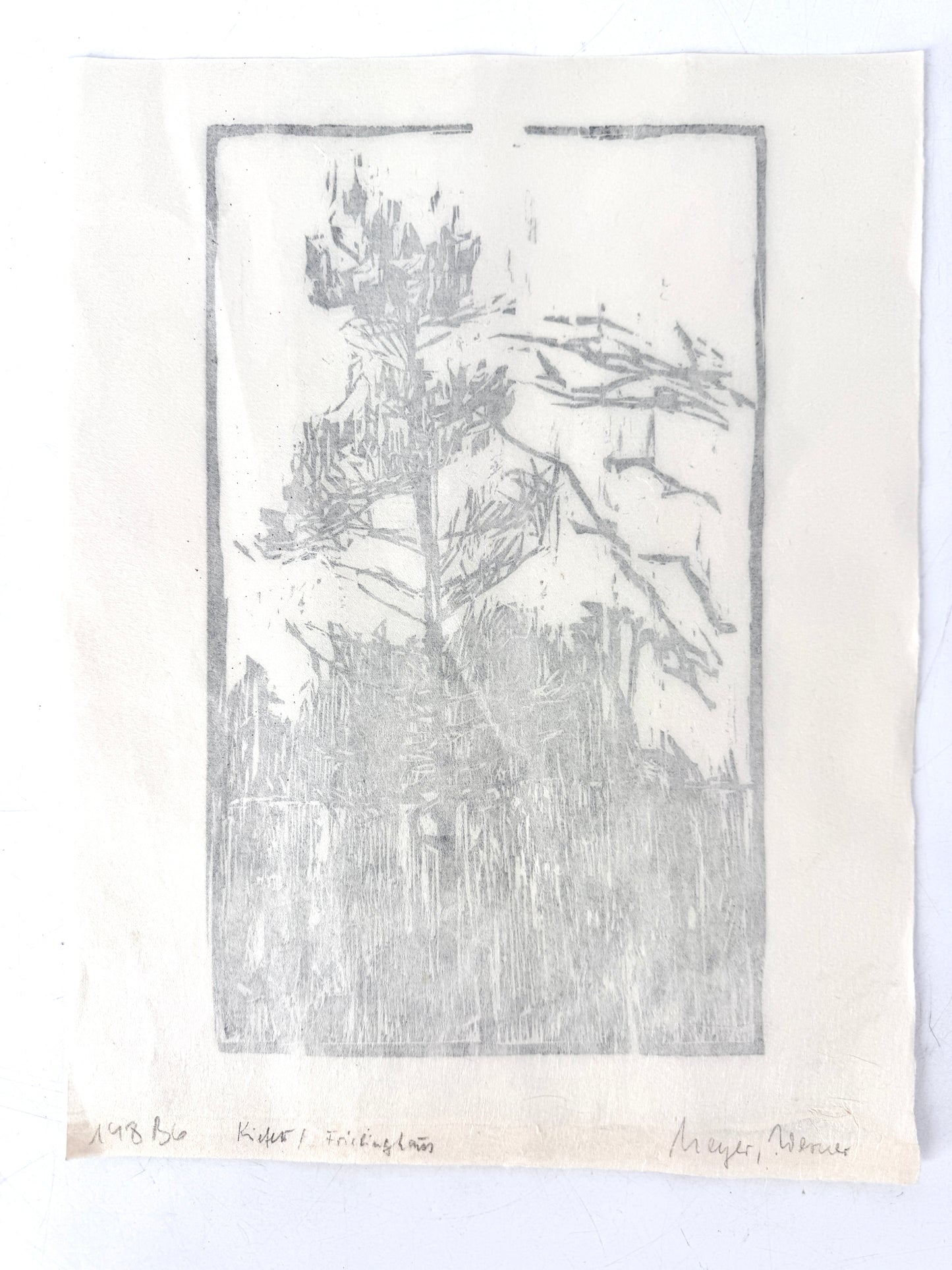 Original-Holzschnitt, Kiefer im Wald. Expressionistisch