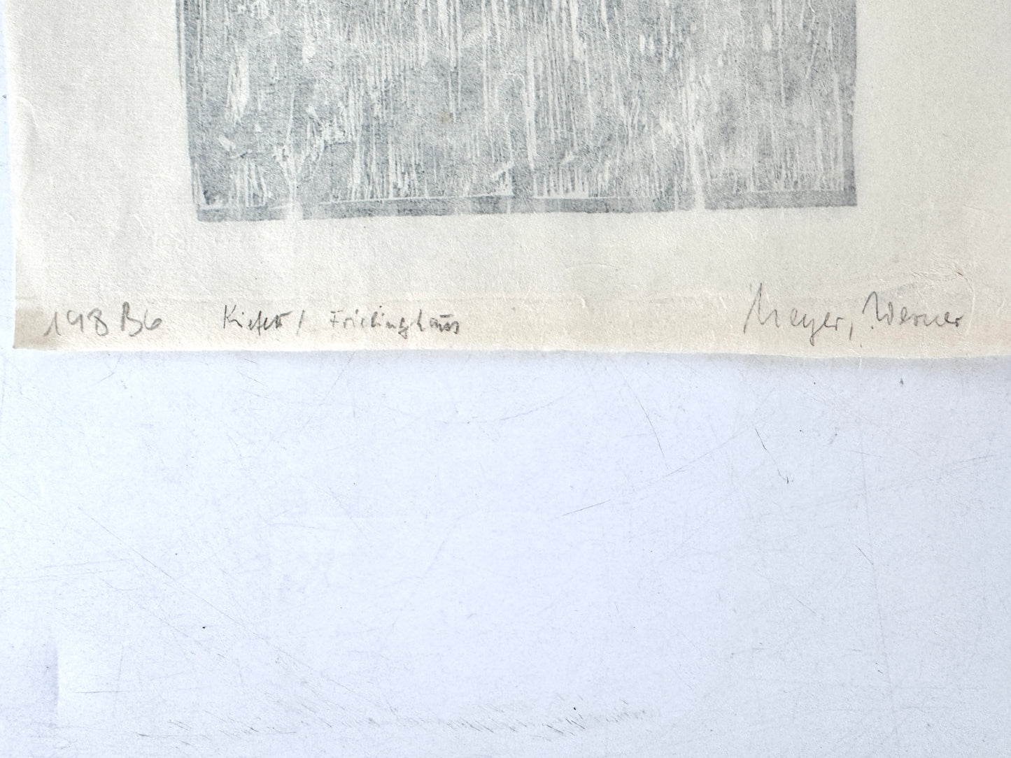 Original-Holzschnitt, Kiefer im Wald. Expressionistisch