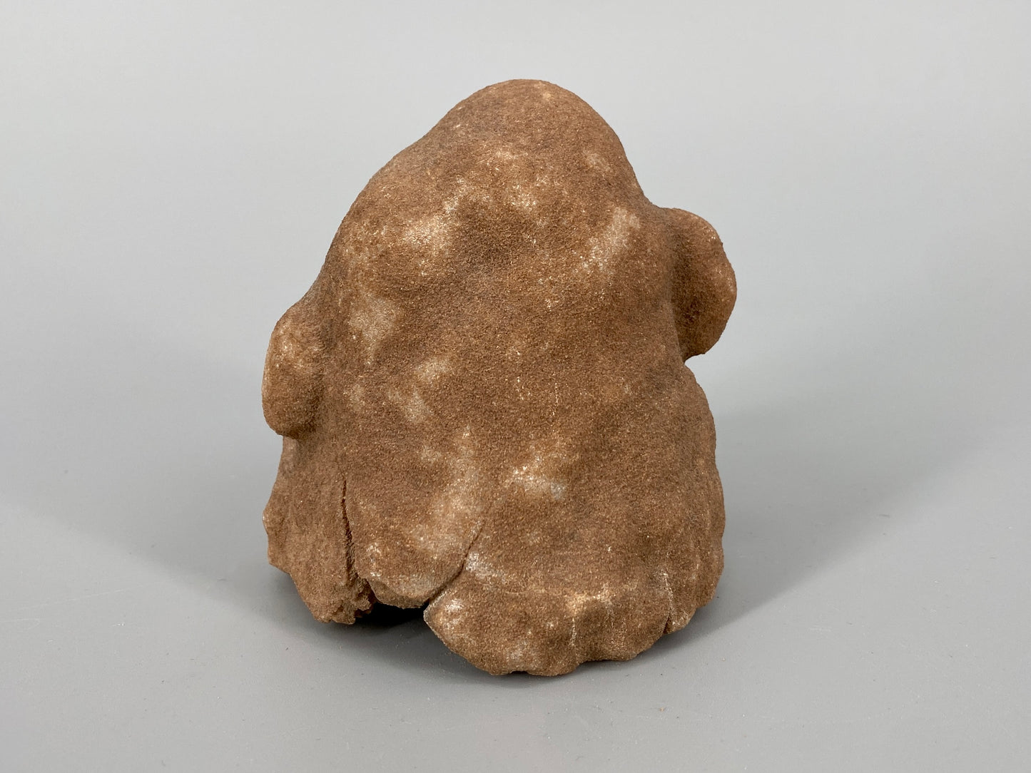 Fossile Steinsammlung aus Ammoniten und Stromalith, Marokko u.a., Kreidezeit