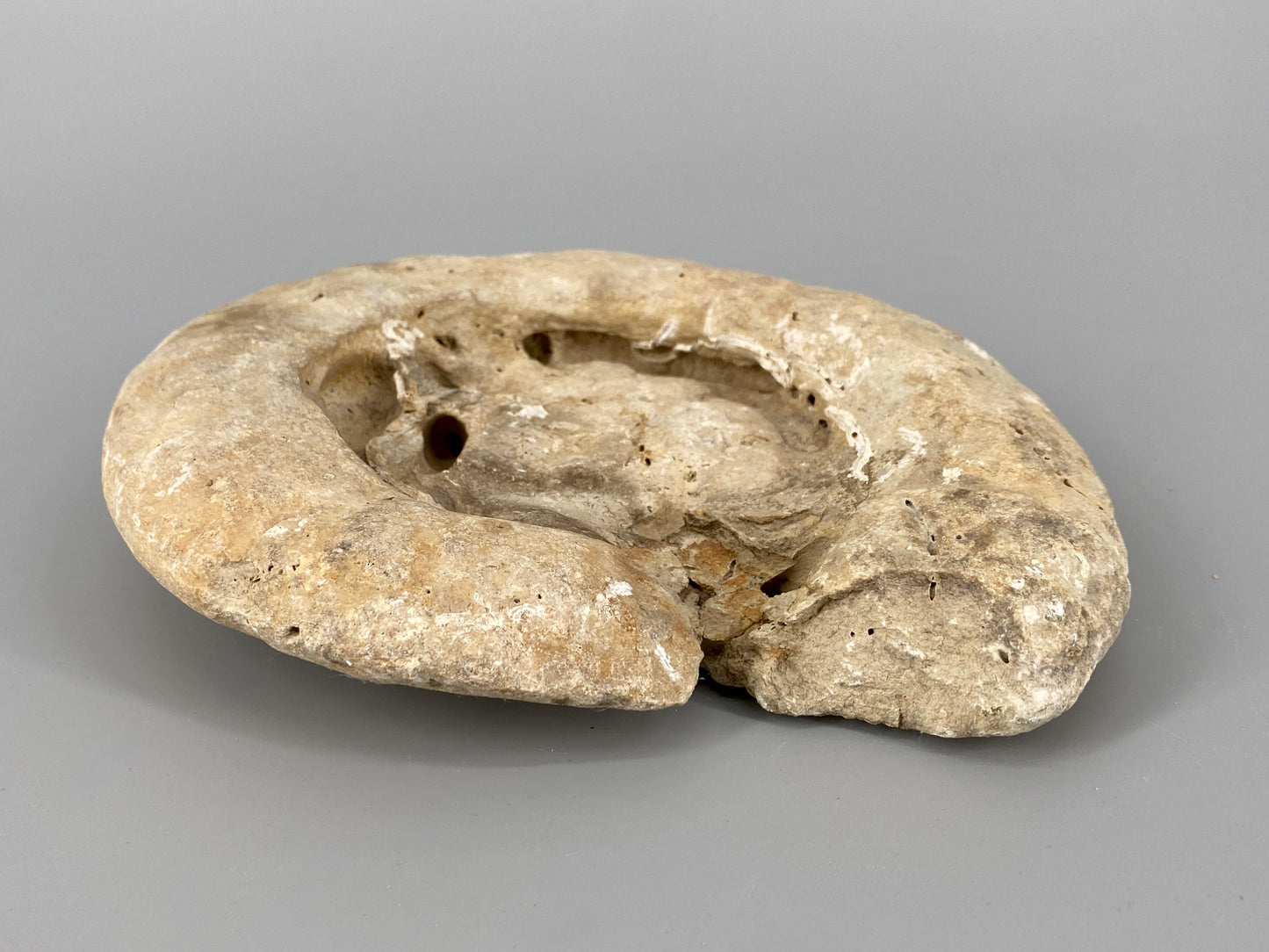Fossile Steinsammlung aus Ammoniten und Stromalith, Marokko u.a., Kreidezeit