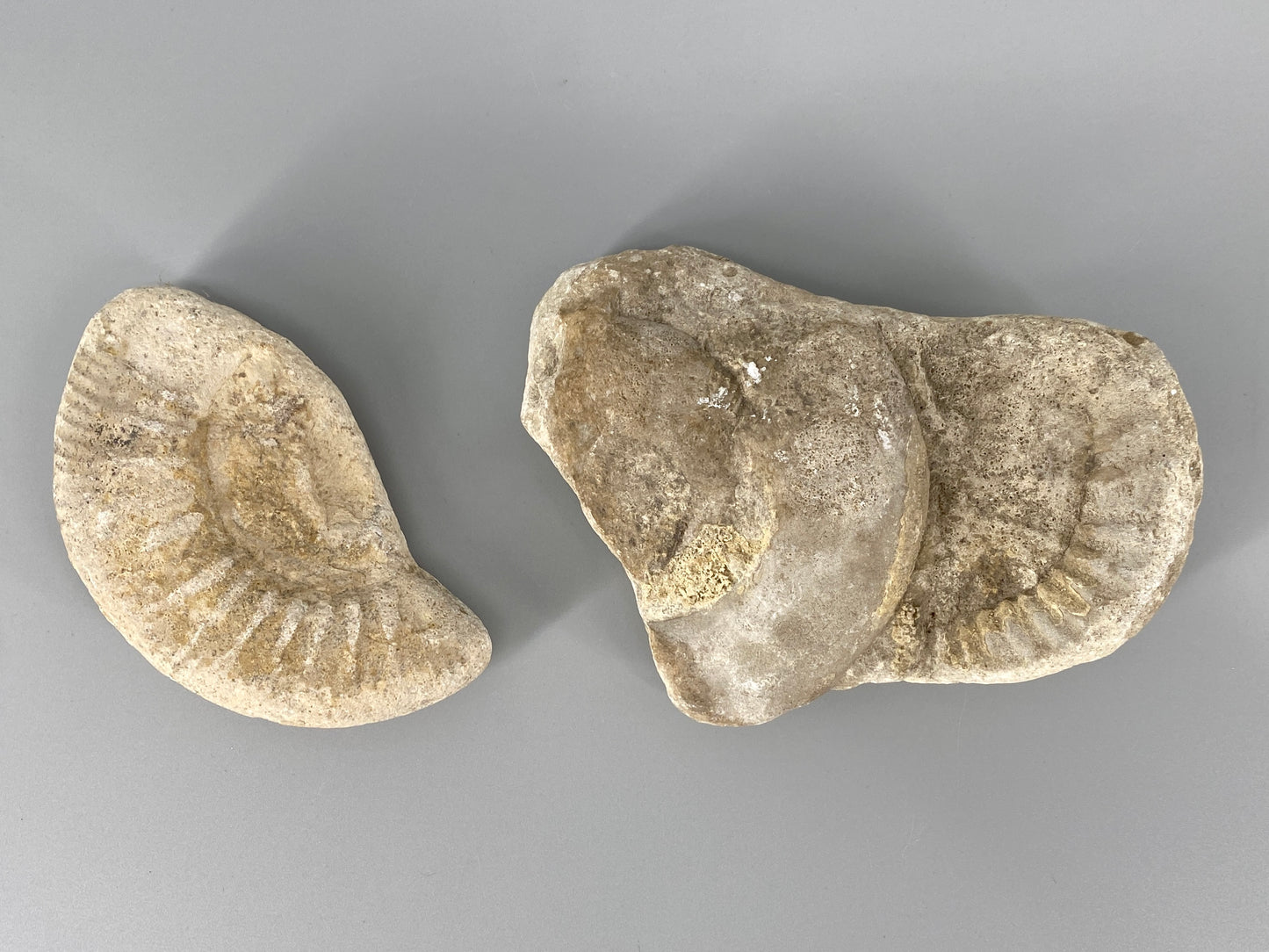 Fossile Steinsammlung aus Ammoniten und Stromalith, Marokko u.a., Kreidezeit