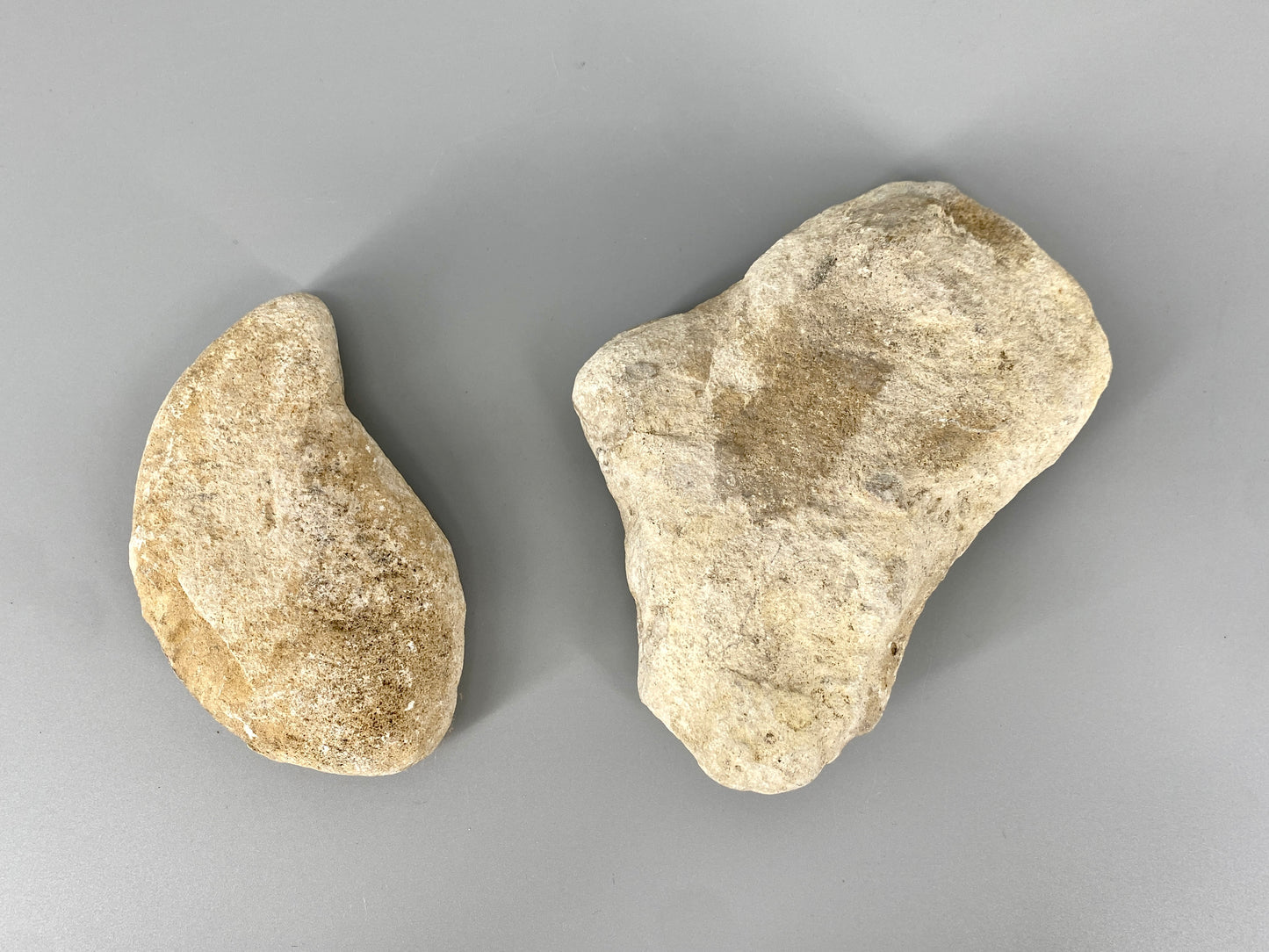 Fossile Steinsammlung aus Ammoniten und Stromalith, Marokko u.a., Kreidezeit