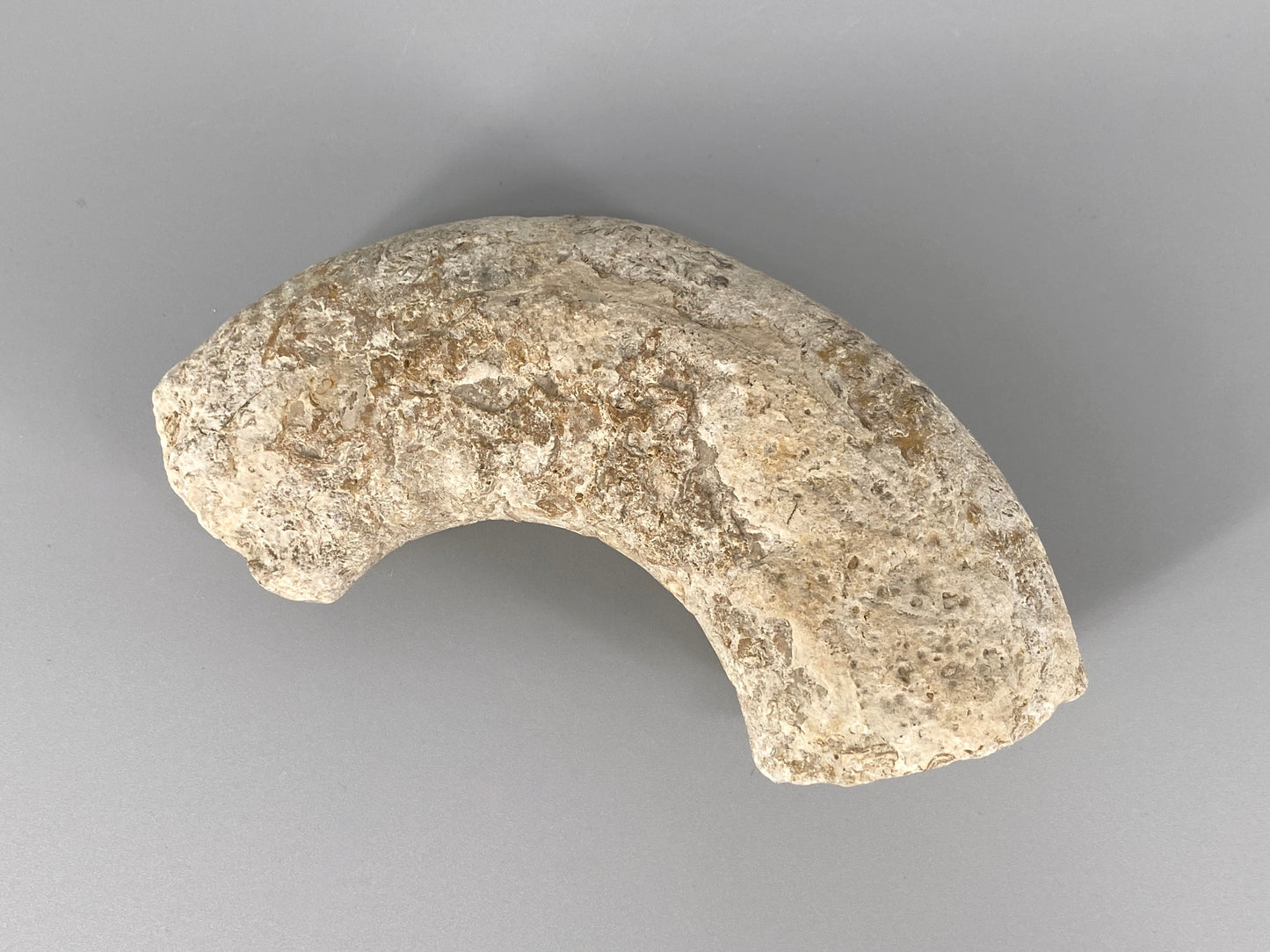 Fossile Steinsammlung aus Ammoniten und Stromalith, Marokko u.a., Kreidezeit