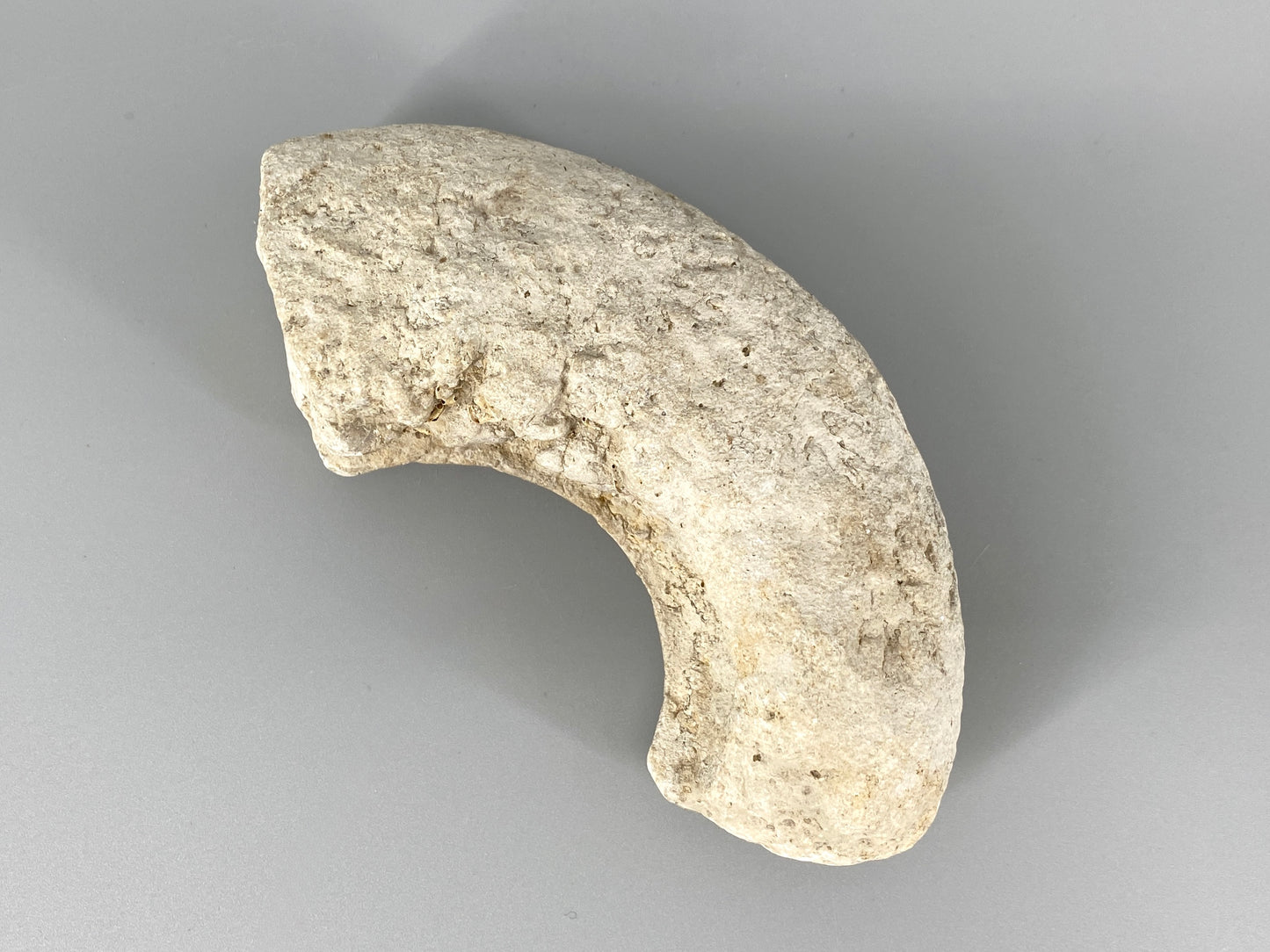 Fossile Steinsammlung aus Ammoniten und Stromalith, Marokko u.a., Kreidezeit