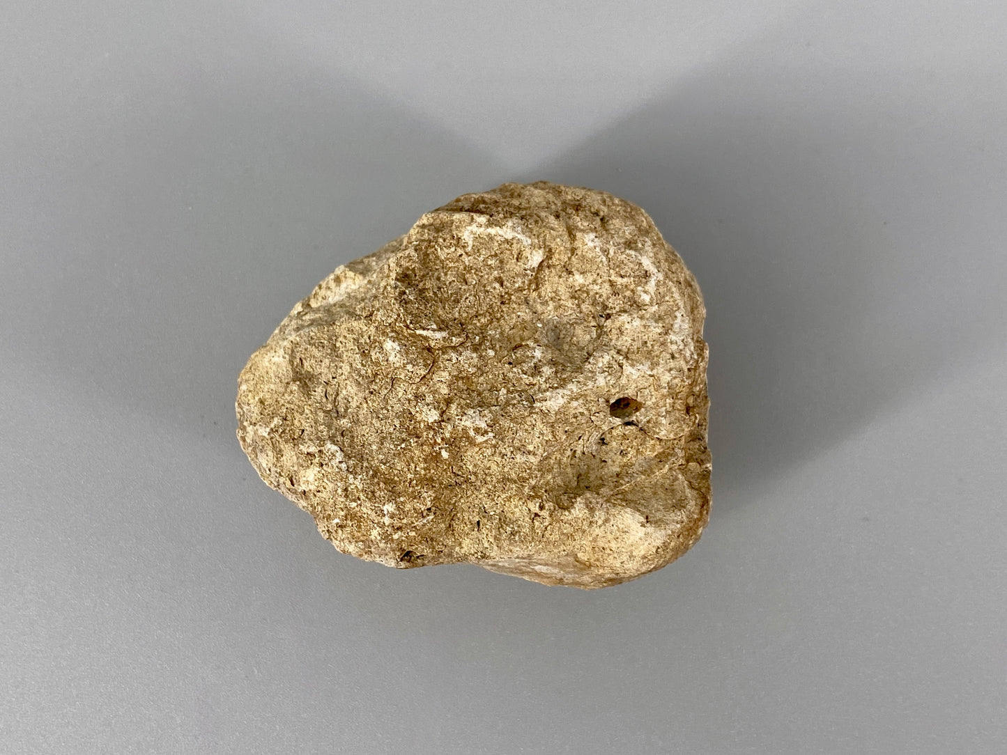 Fossile Steinsammlung aus Ammoniten und Stromalith, Marokko u.a., Kreidezeit