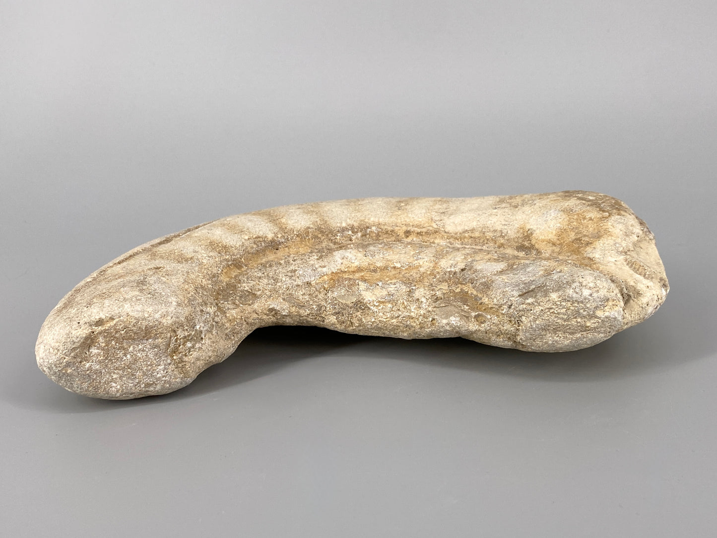 Fossile Steinsammlung aus Ammoniten und Stromalith, Marokko u.a., Kreidezeit