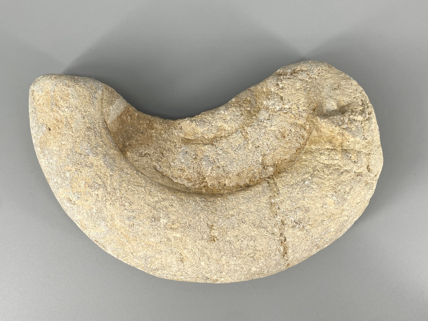 Fossile Steinsammlung aus Ammoniten und Stromalith, Marokko u.a., Kreidezeit