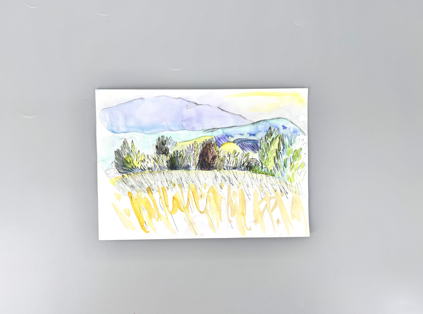 2X Aquarelle, Helge Engeln. Frühlingslandschaften