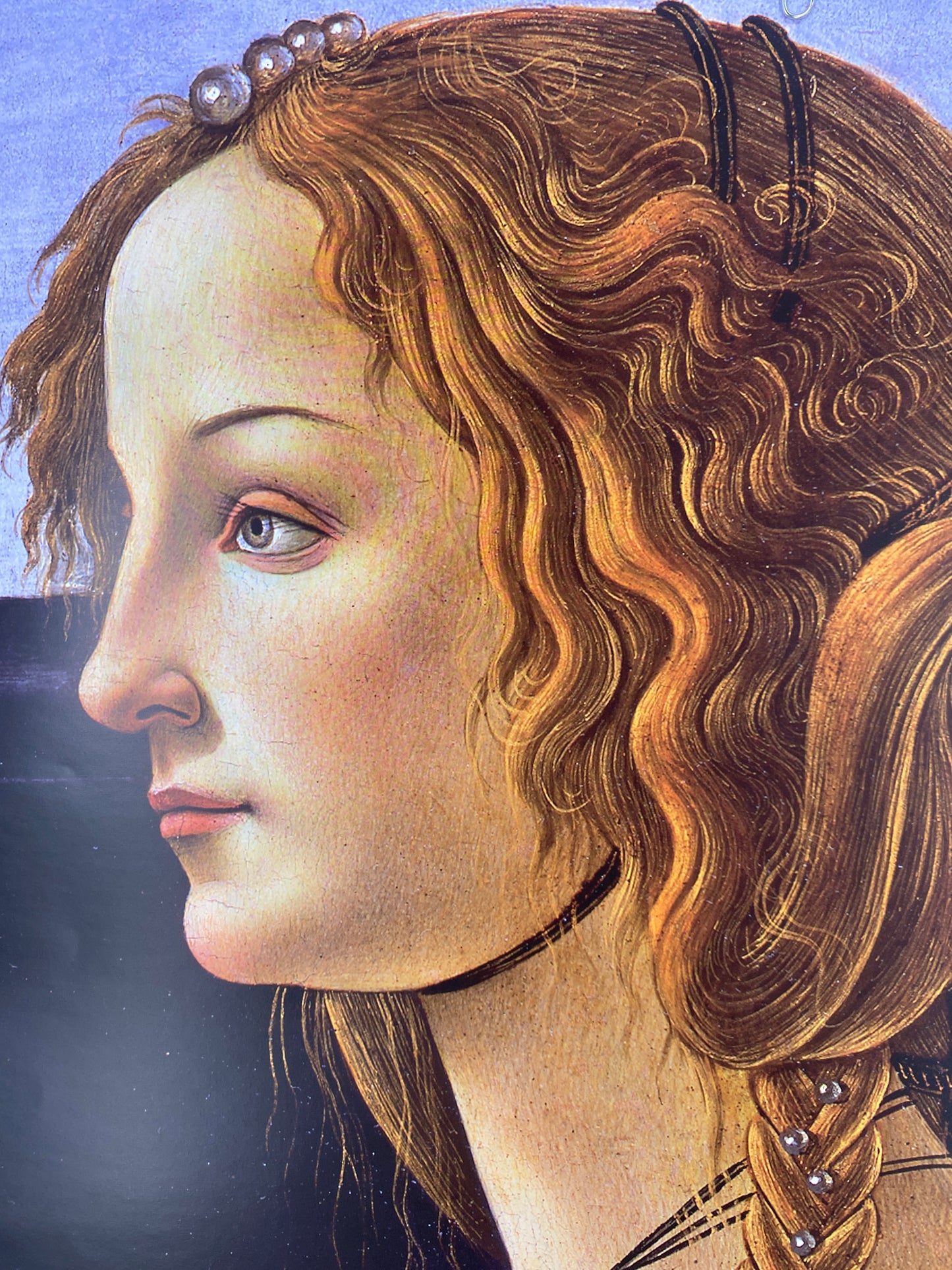 Sandro Botticelli - Portrait einer Dame. Poster, Gesichter der Renaissance. Bode Museum Berlin
