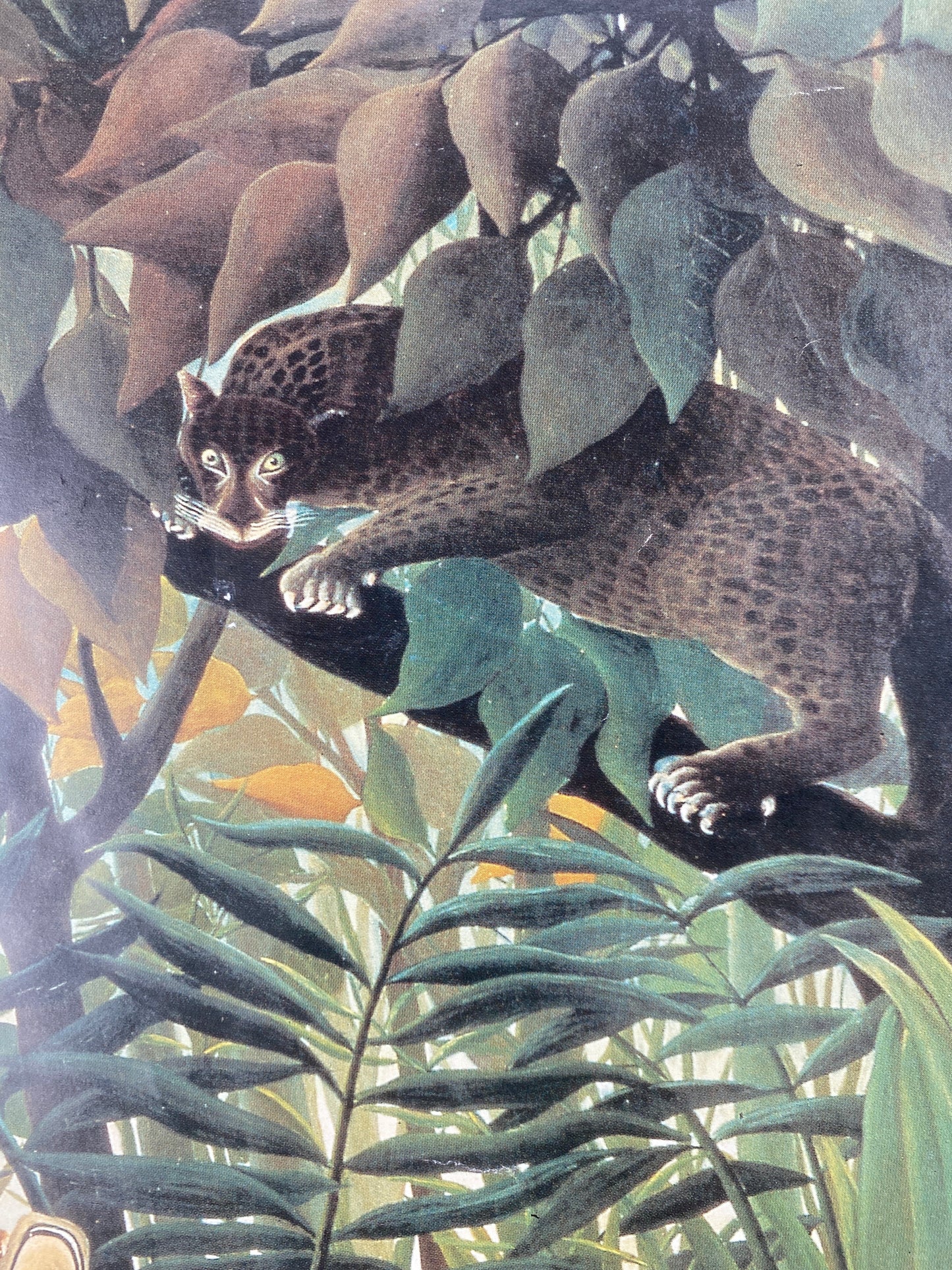 Henri Rousseau - Der hungrige Löwe wirft sich auf die Antilope. Kunstdruck