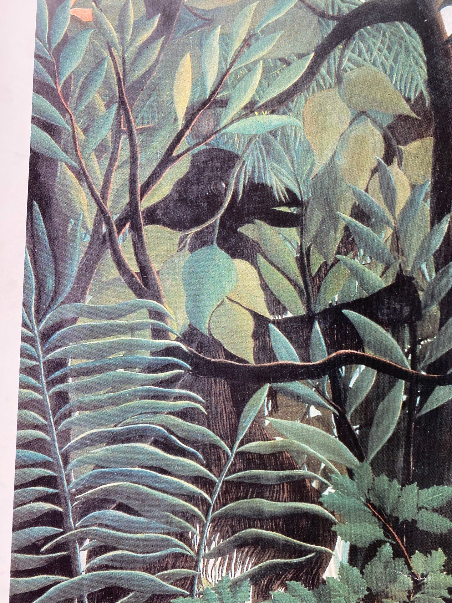Henri Rousseau - Der hungrige Löwe wirft sich auf die Antilope. Kunstdruck