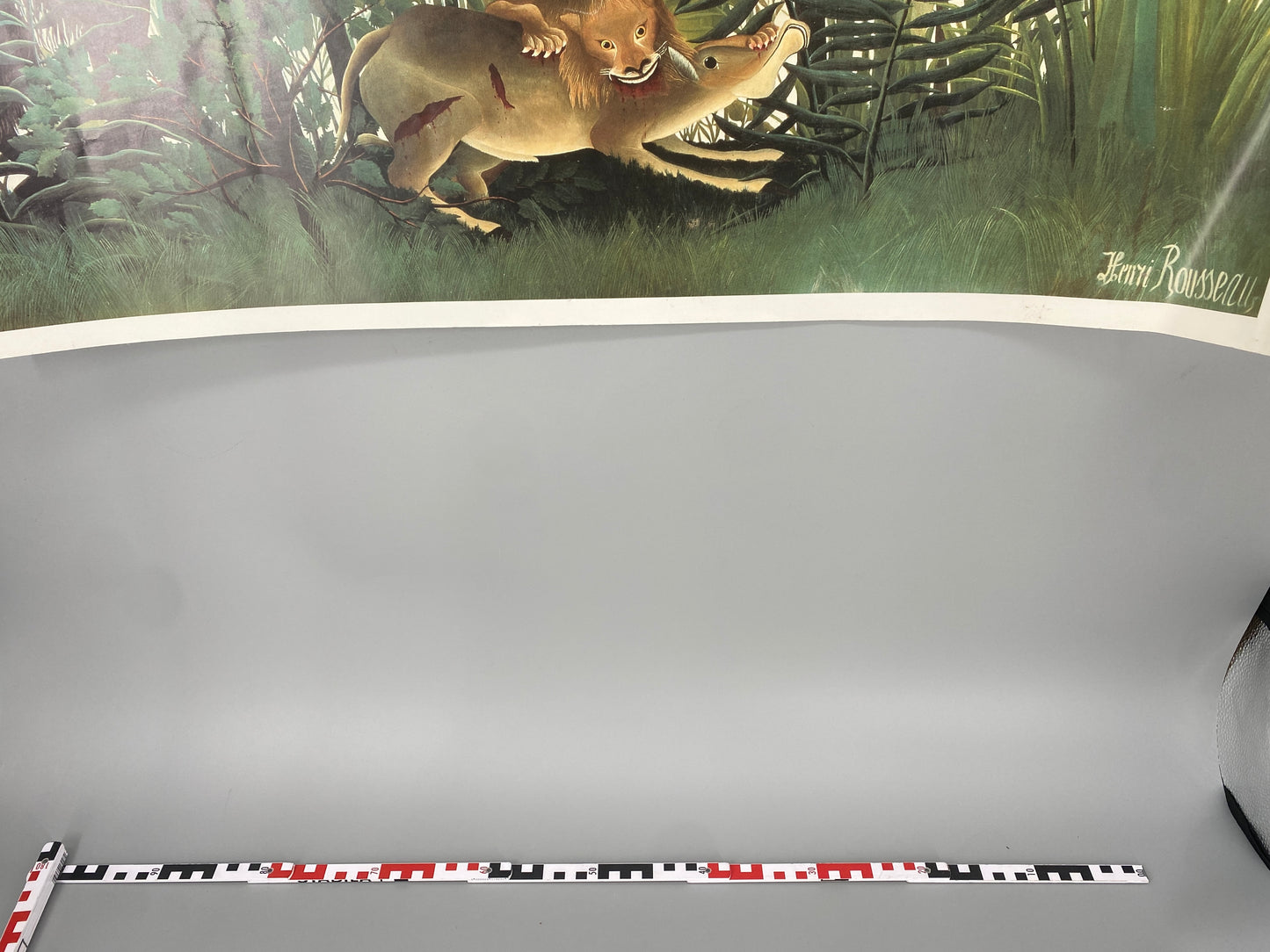 Henri Rousseau - Der hungrige Löwe wirft sich auf die Antilope. Kunstdruck