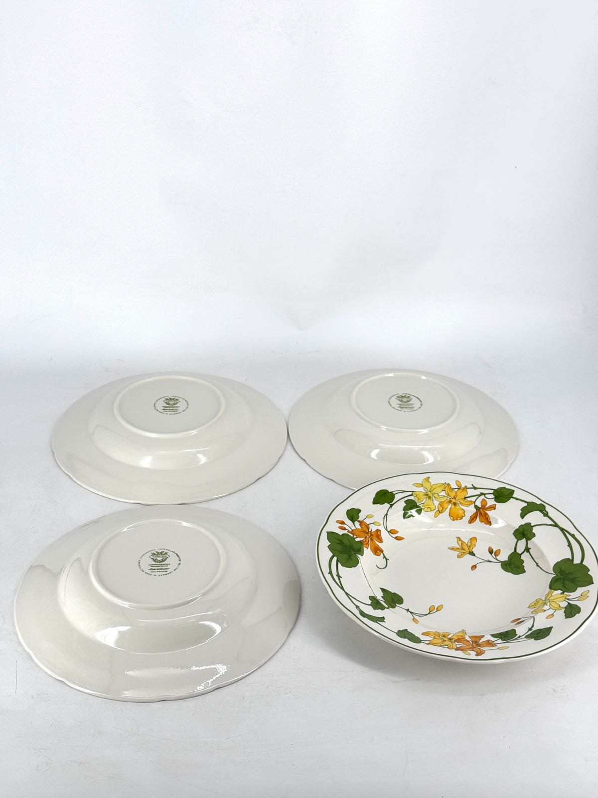 VILLEROY & BOCH GERANIUM XXL GOURMET GESCHIRR, PASTATELLER AUS VITRO PORZELLAN