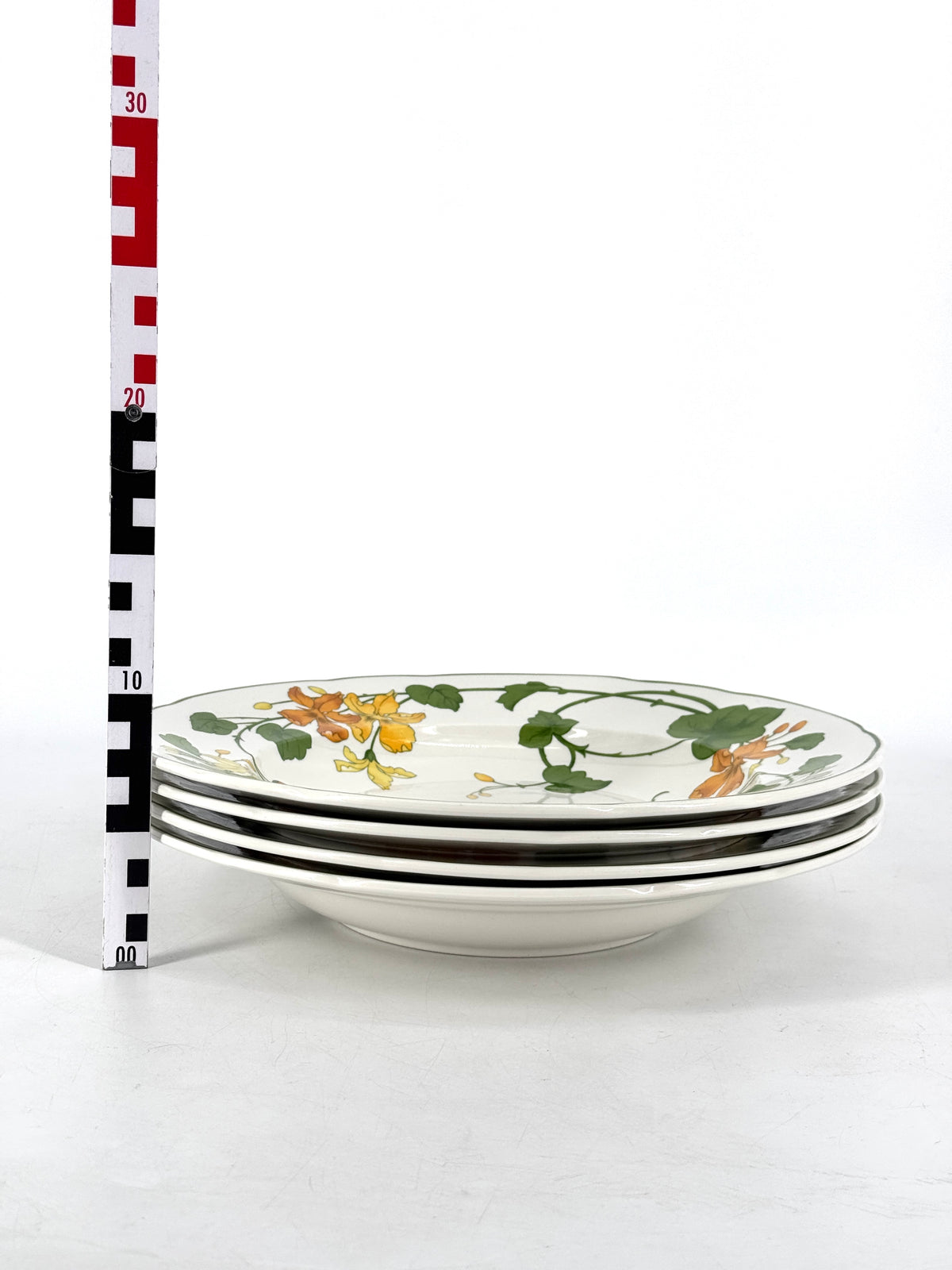 VILLEROY & BOCH GERANIUM XXL GOURMET GESCHIRR, PASTATELLER AUS VITRO PORZELLAN
