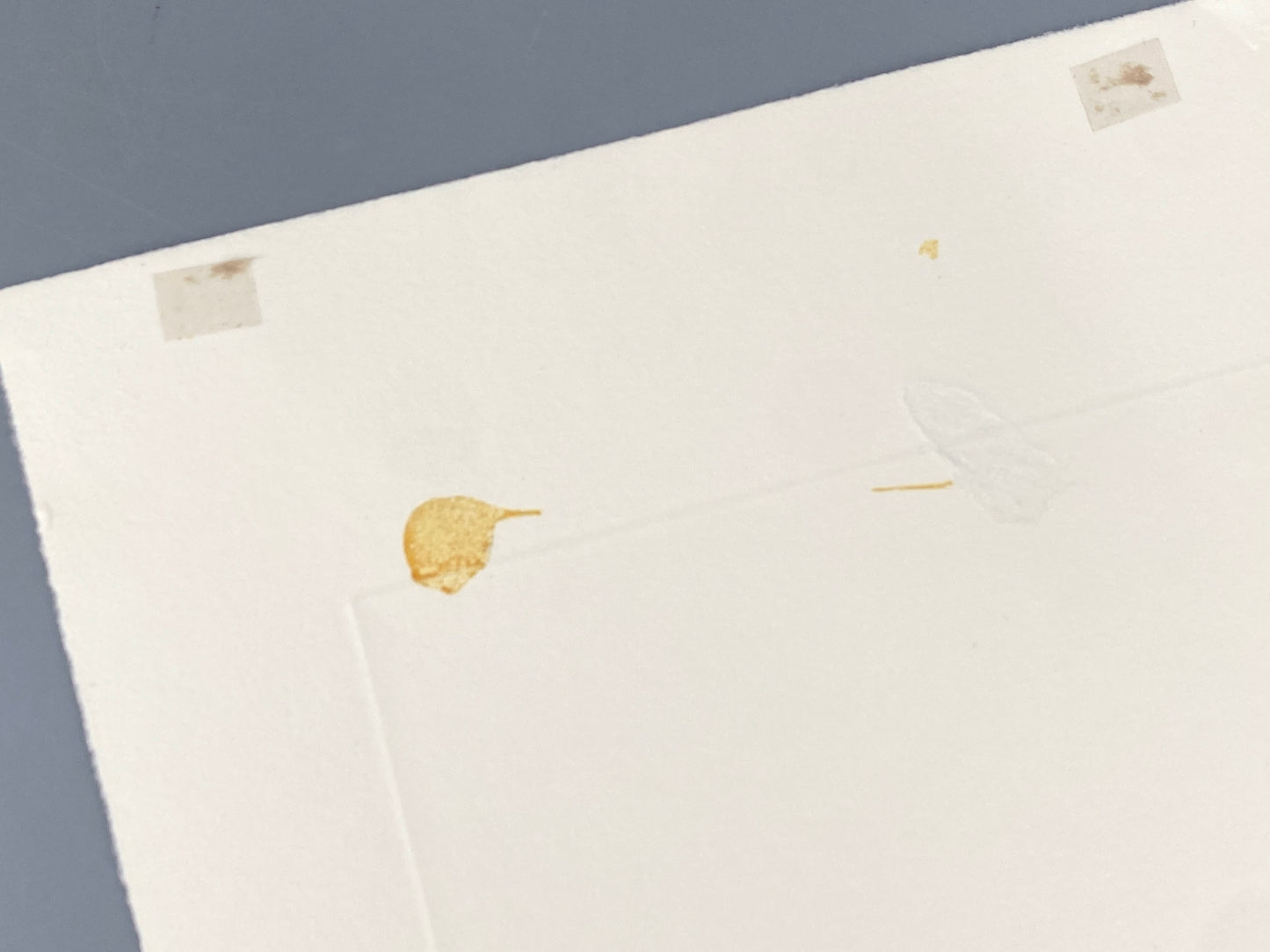 Handsignierte und nummerierte Radierung in Blau von Ullrich Panndorf (geb. 1954), 1997
